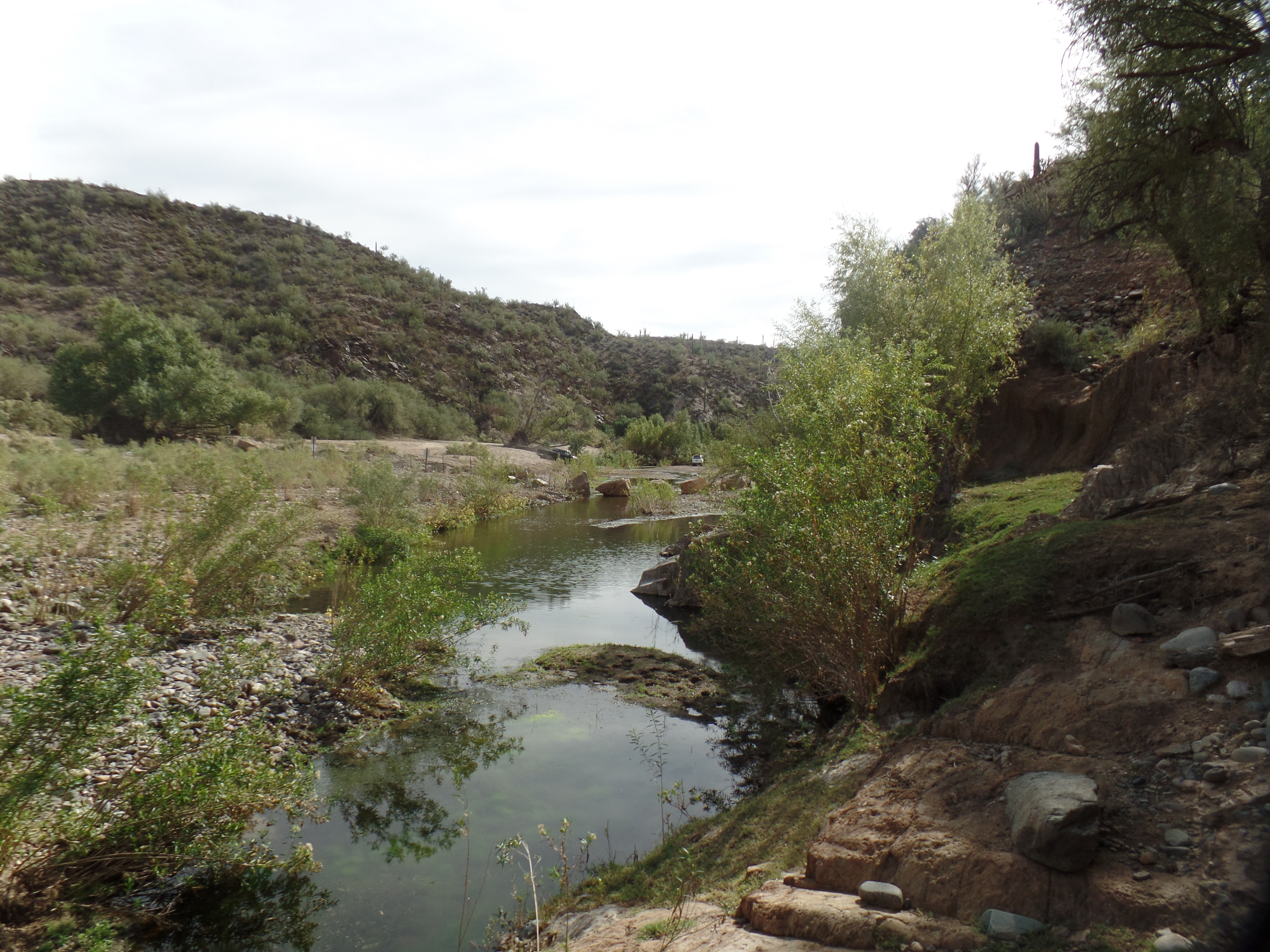 SAMSUNG CAMERA PICTURES