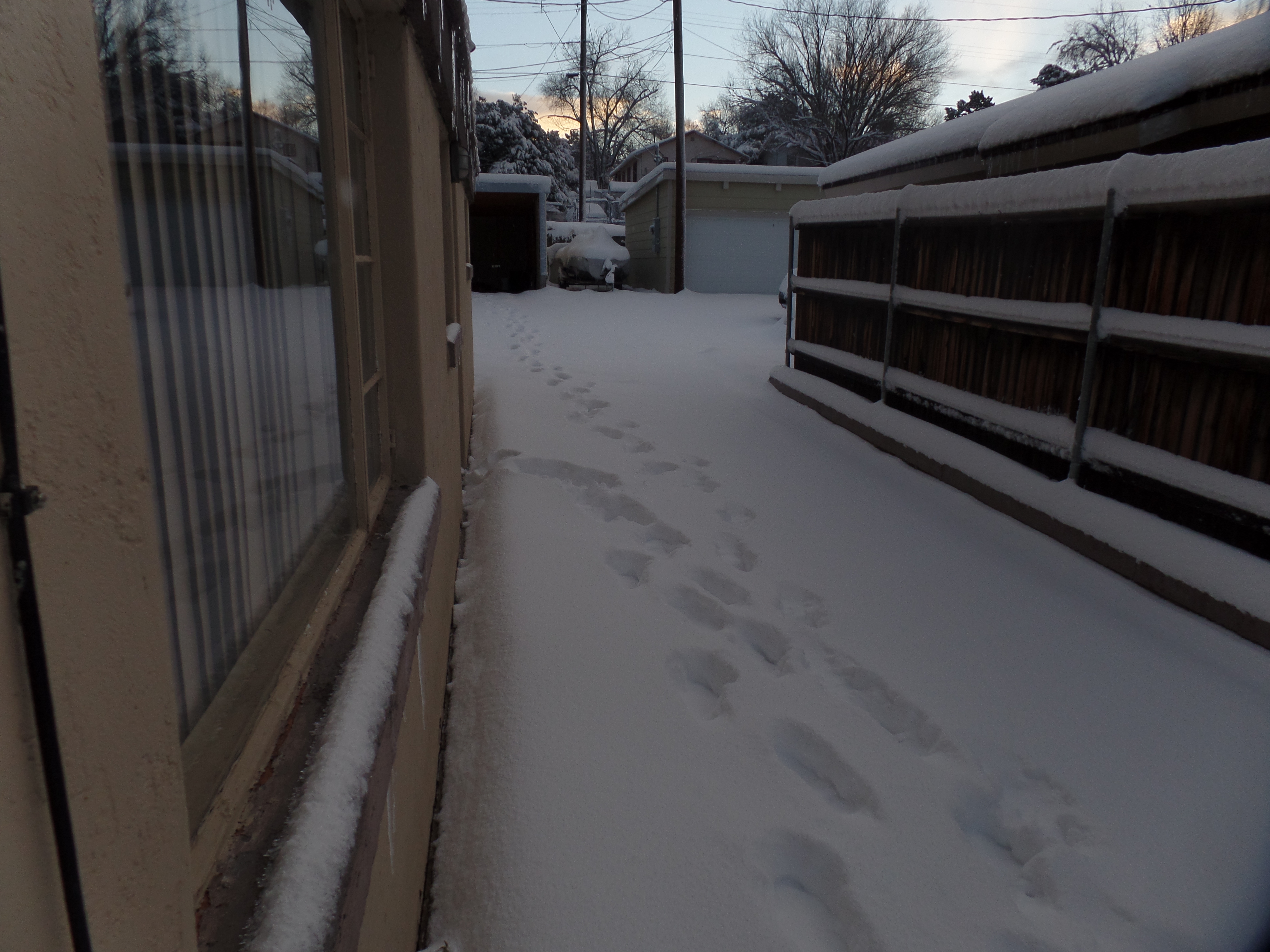 SAMSUNG CAMERA PICTURES