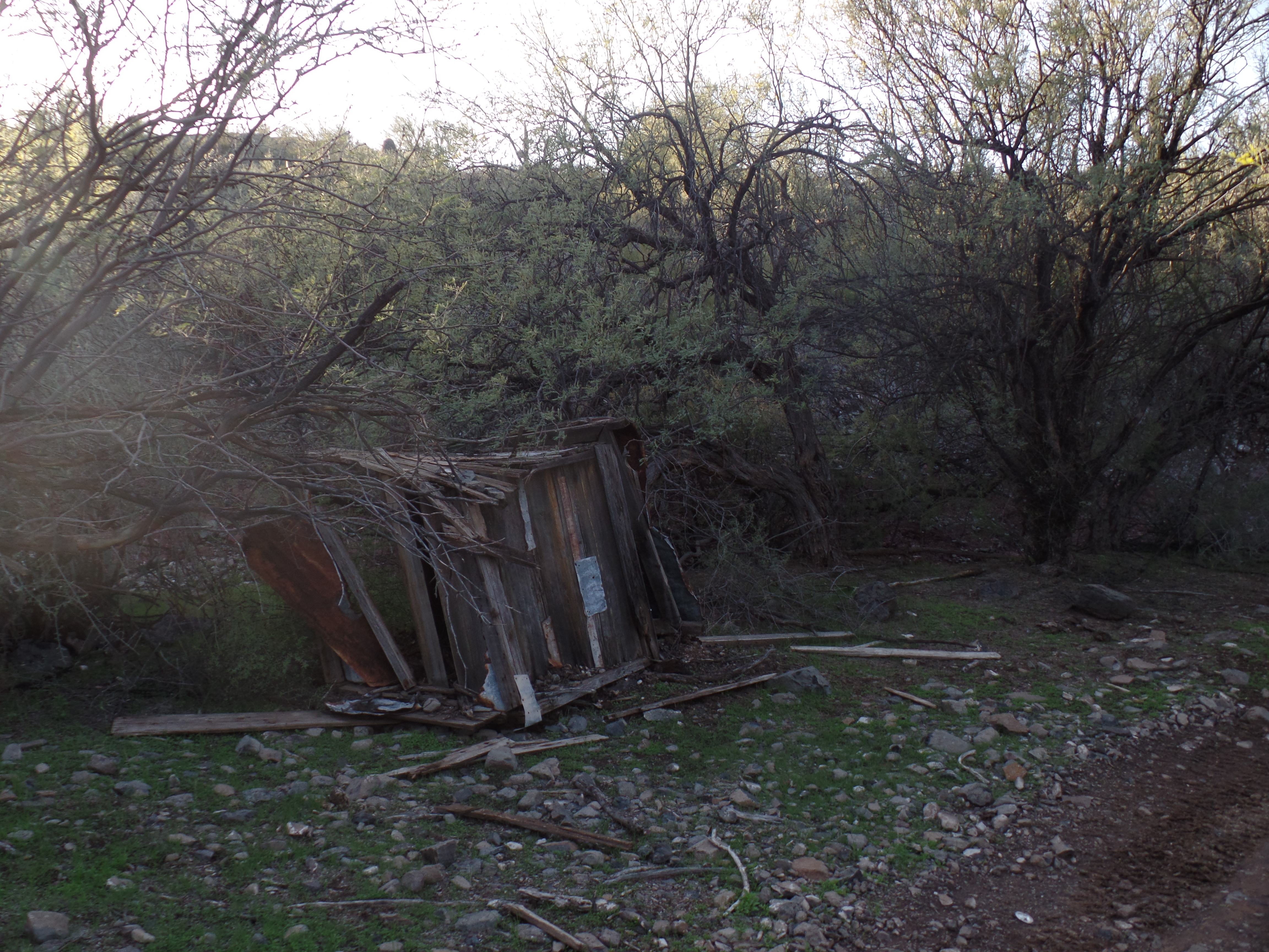 SAMSUNG CAMERA PICTURES