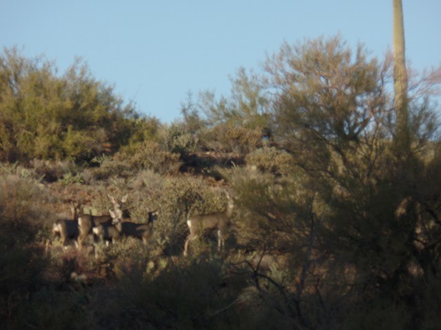 SAMSUNG CAMERA PICTURES