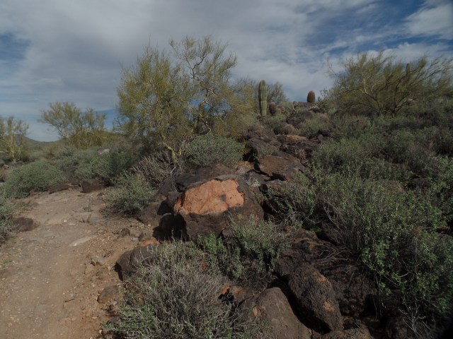 SAMSUNG CAMERA PICTURES