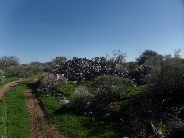 SAMSUNG CAMERA PICTURES