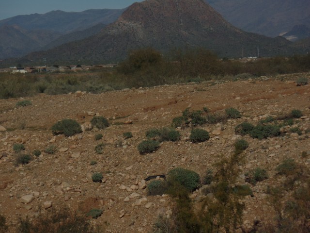 SAMSUNG CAMERA PICTURES