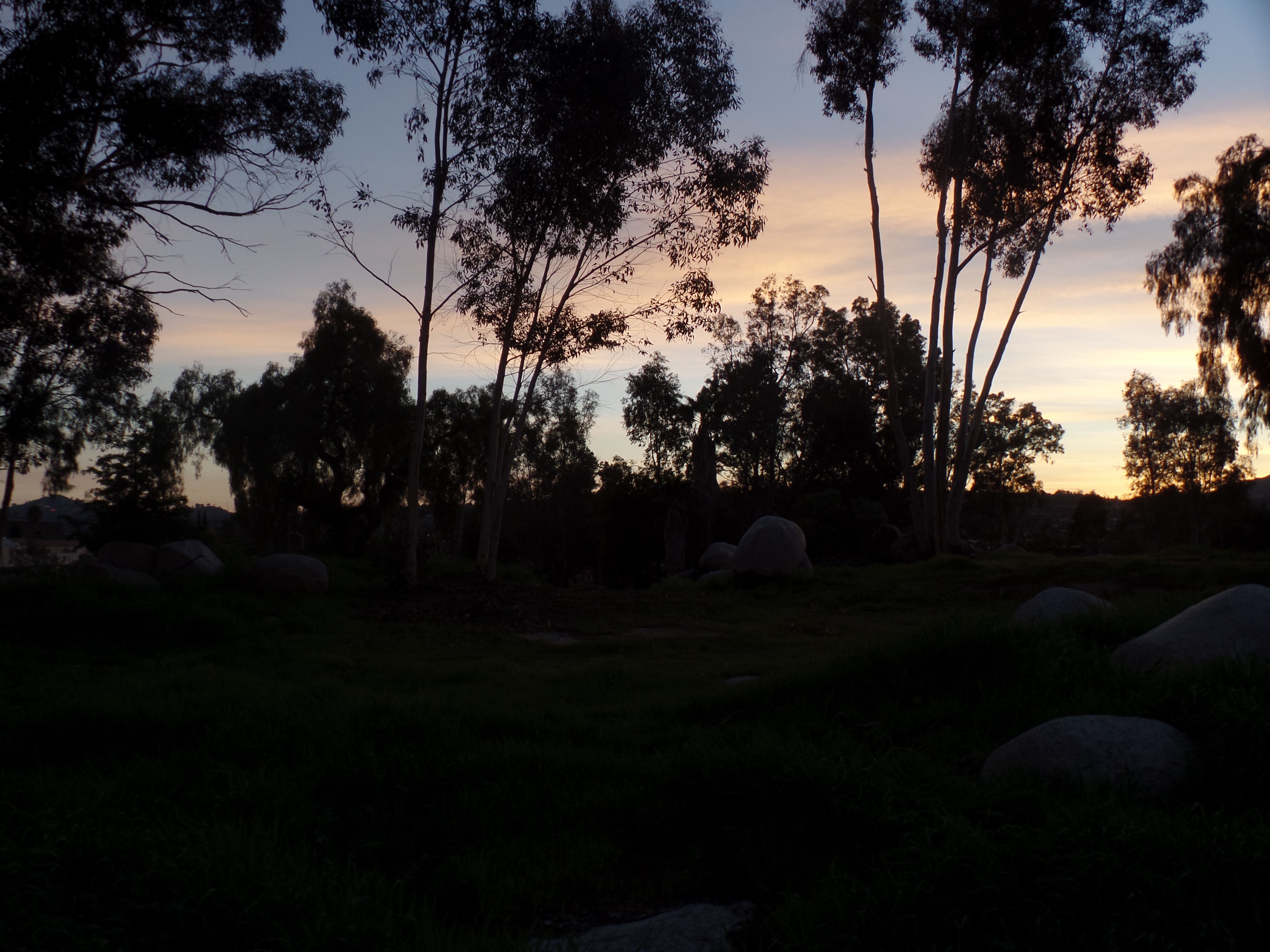 SAMSUNG CAMERA PICTURES