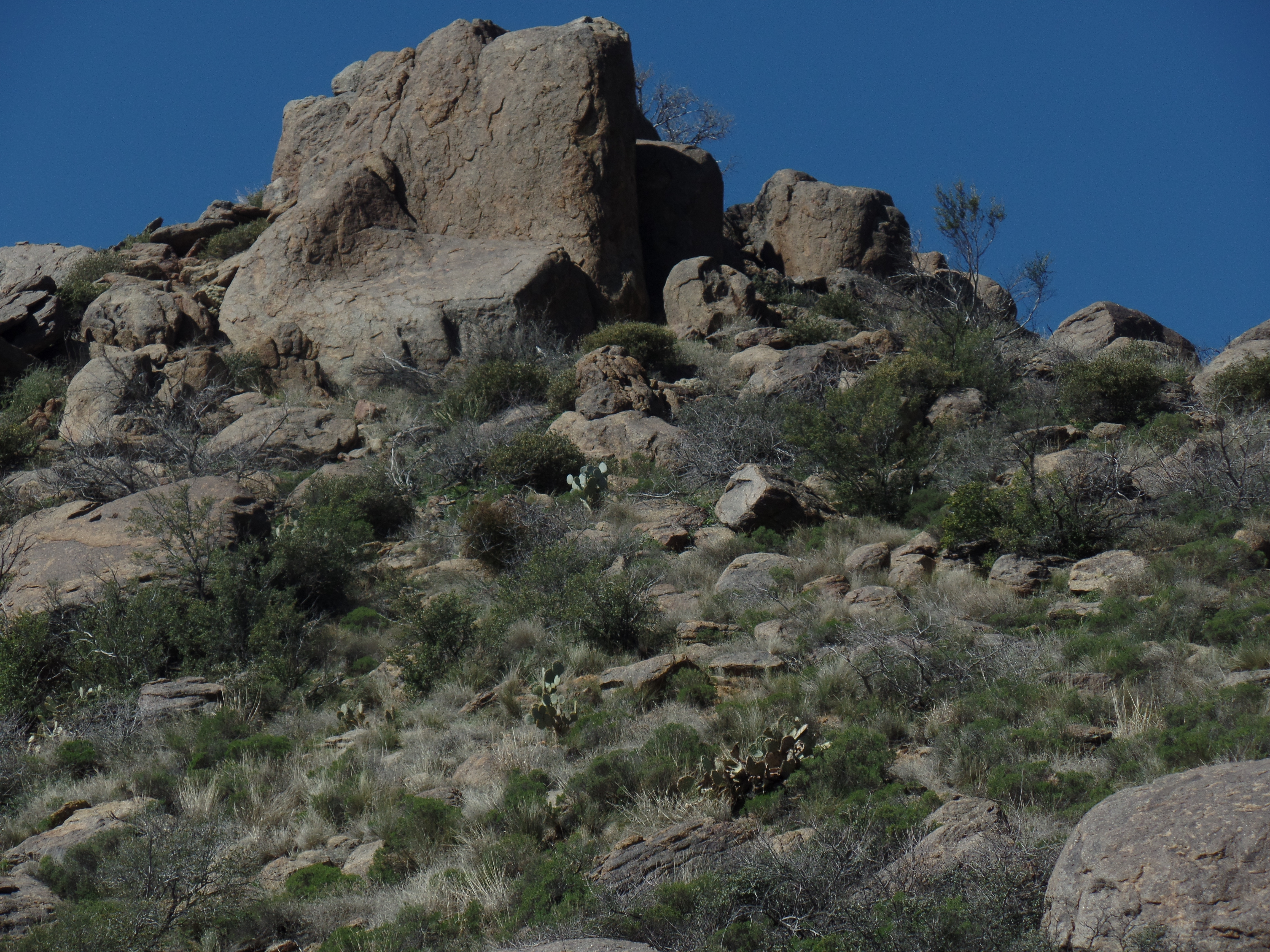 SAMSUNG CAMERA PICTURES