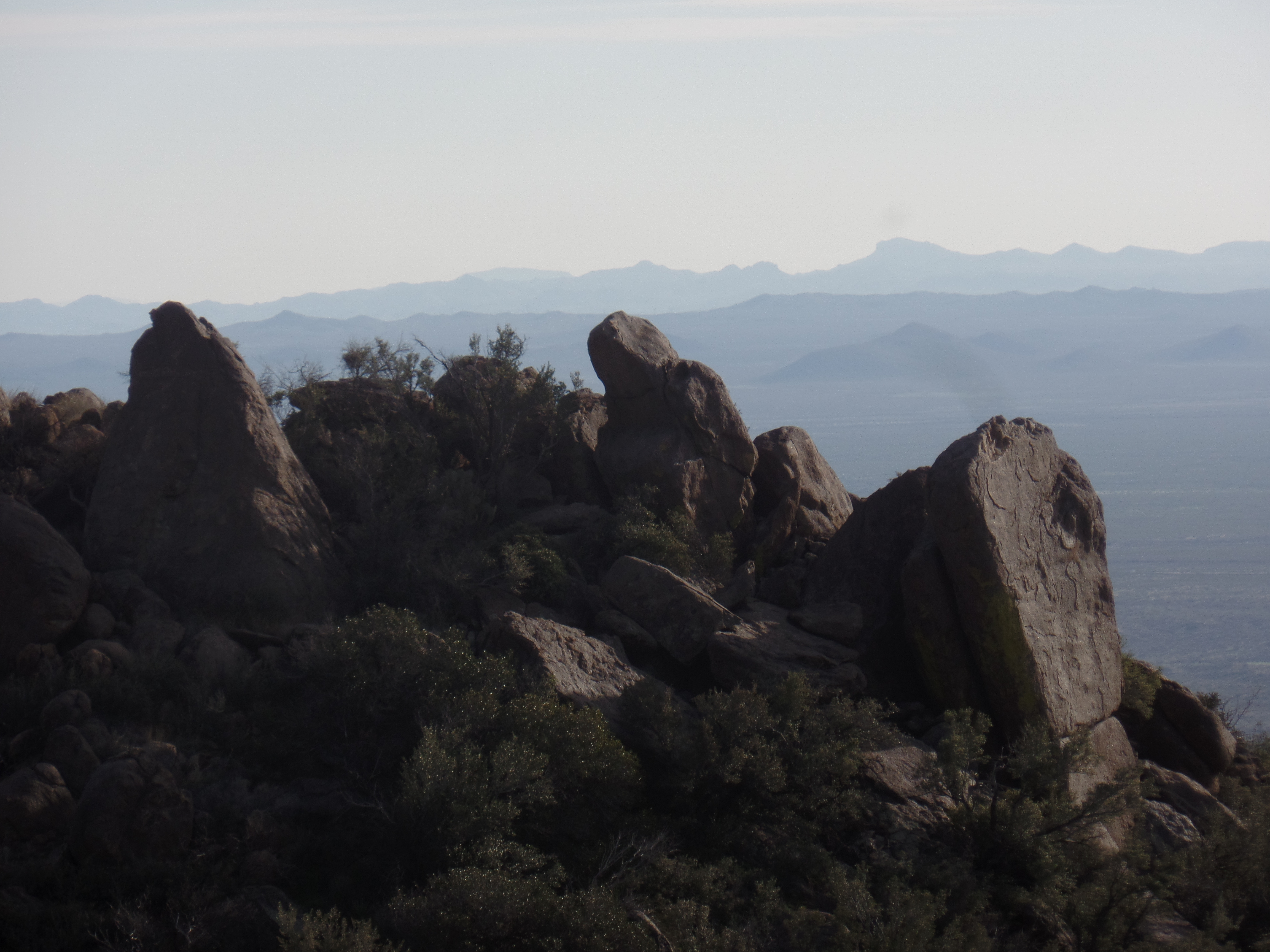 SAMSUNG CAMERA PICTURES