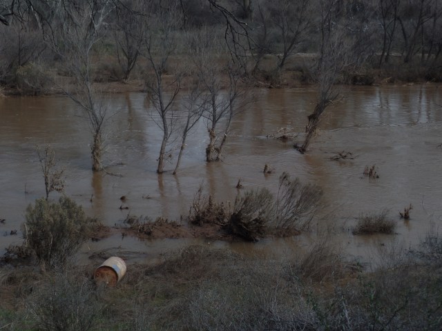 SAMSUNG CAMERA PICTURES