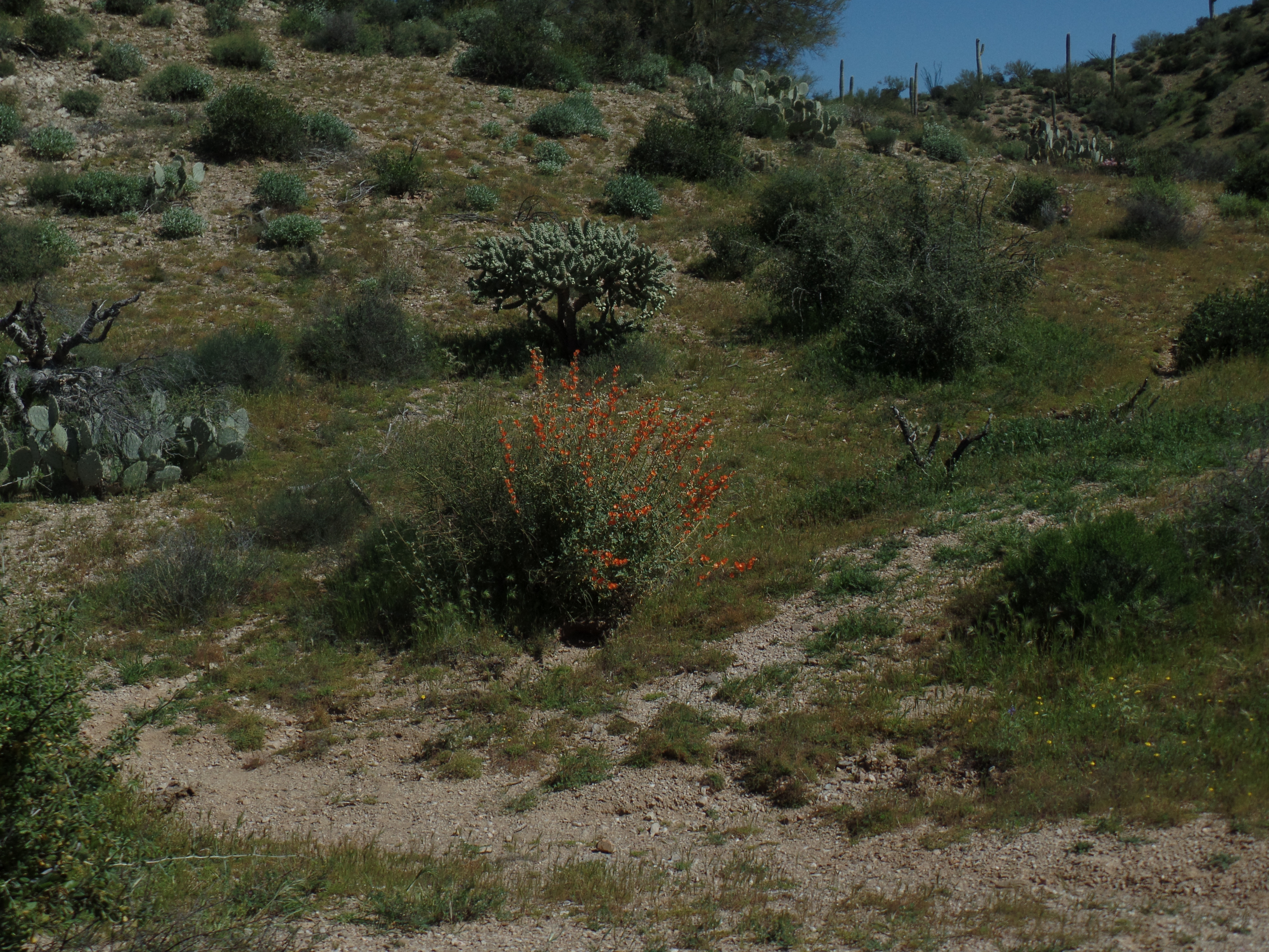 SAMSUNG CAMERA PICTURES