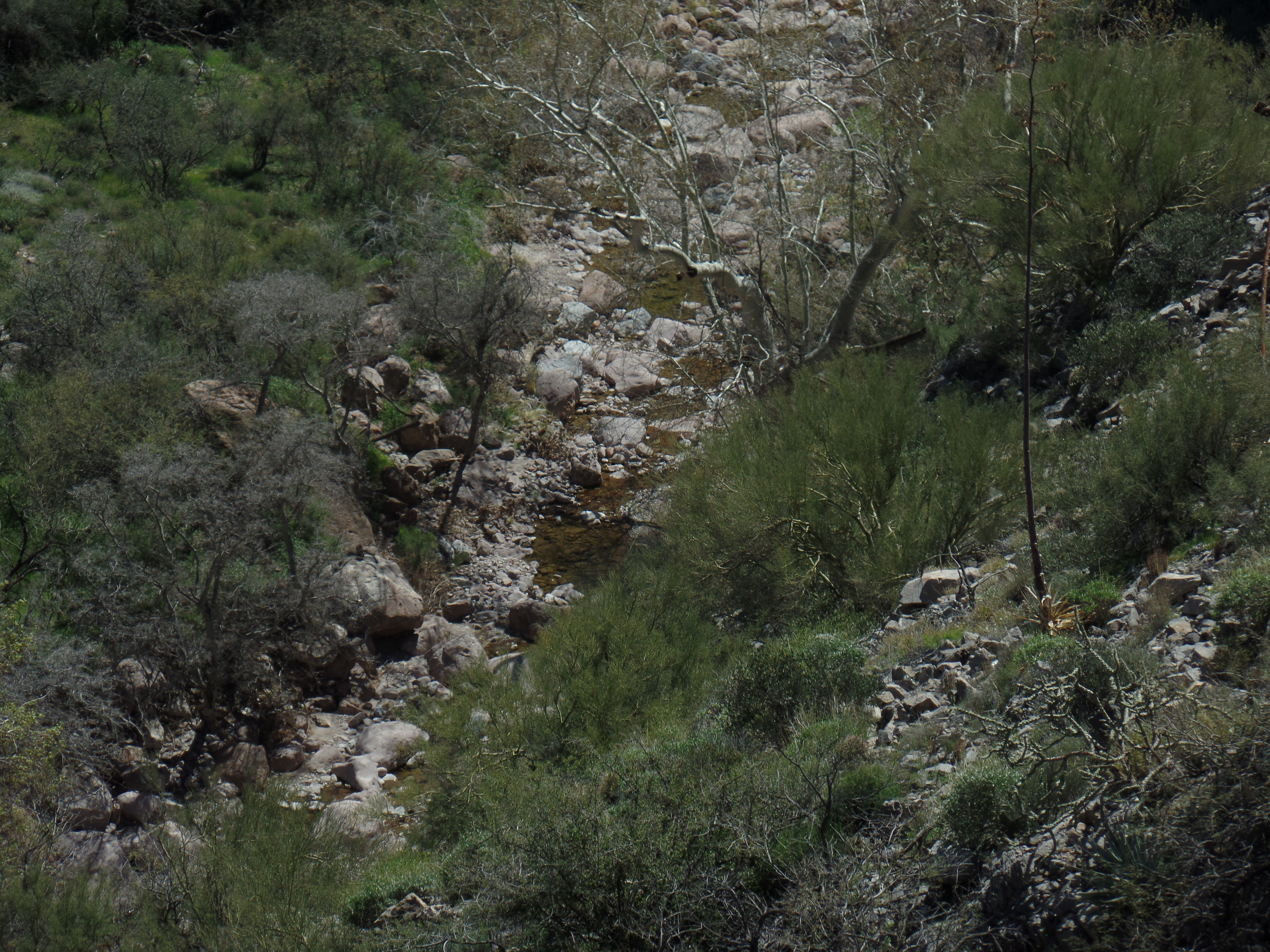 SAMSUNG CAMERA PICTURES