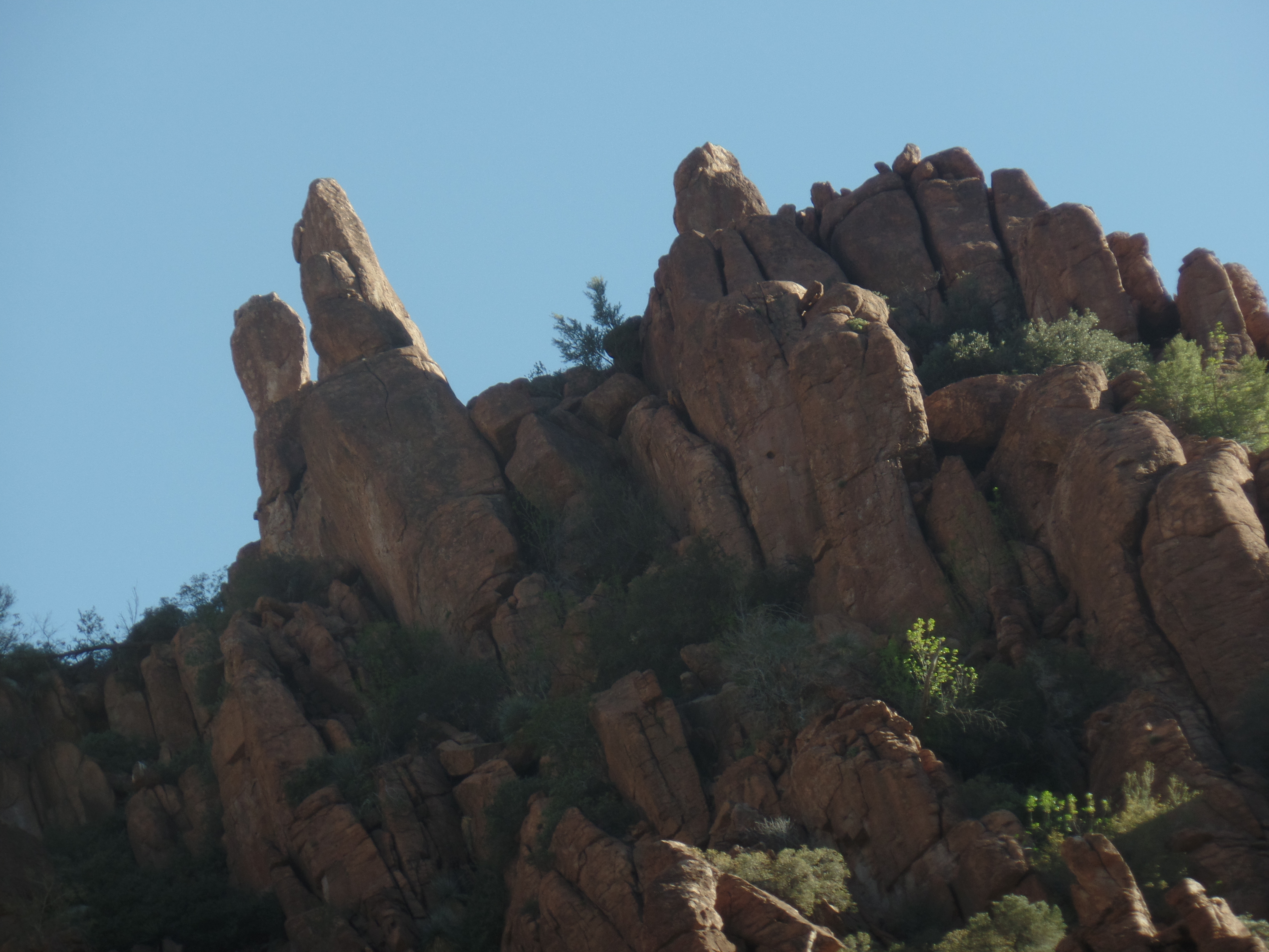 SAMSUNG CAMERA PICTURES