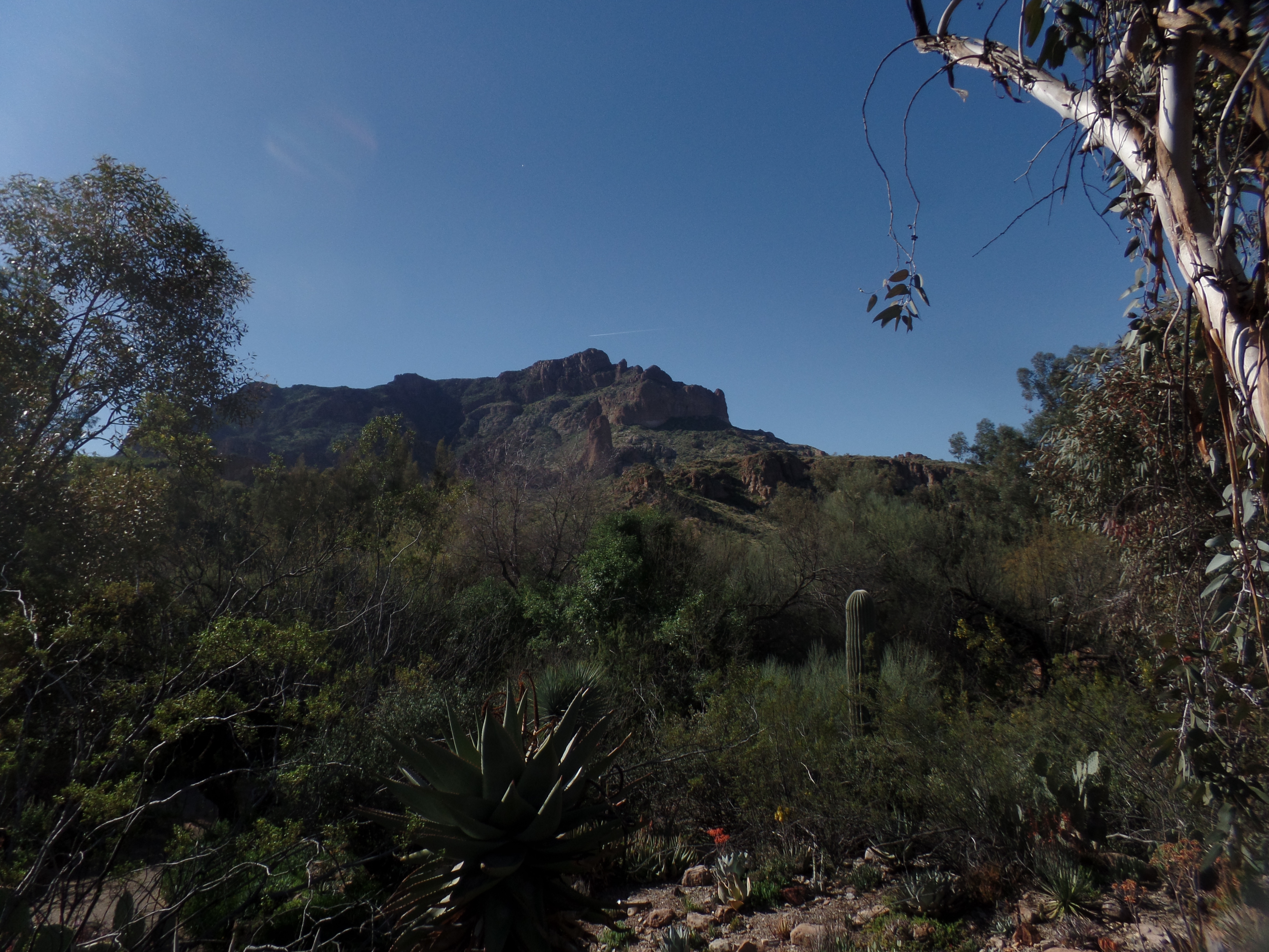 SAMSUNG CAMERA PICTURES