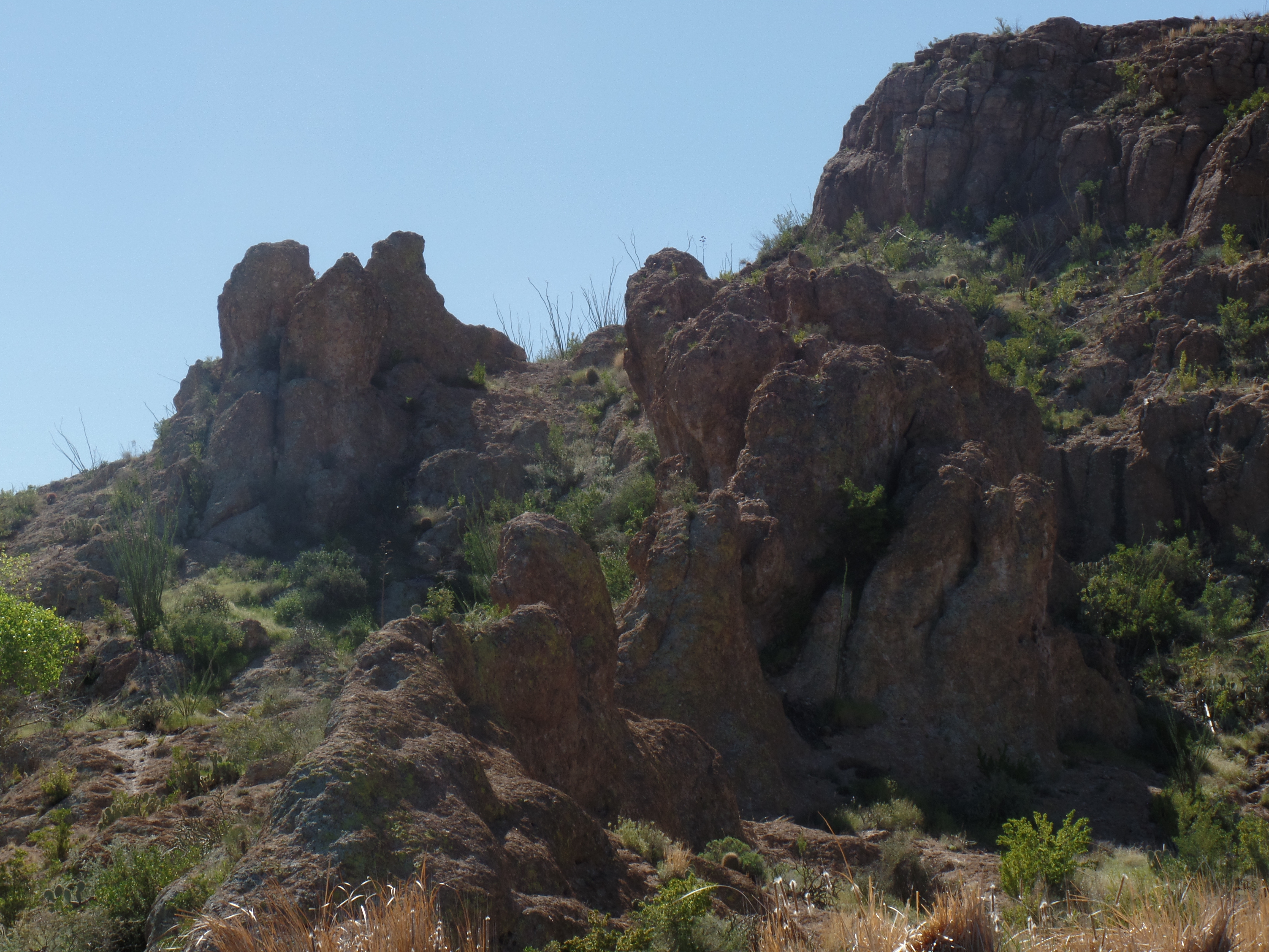 SAMSUNG CAMERA PICTURES