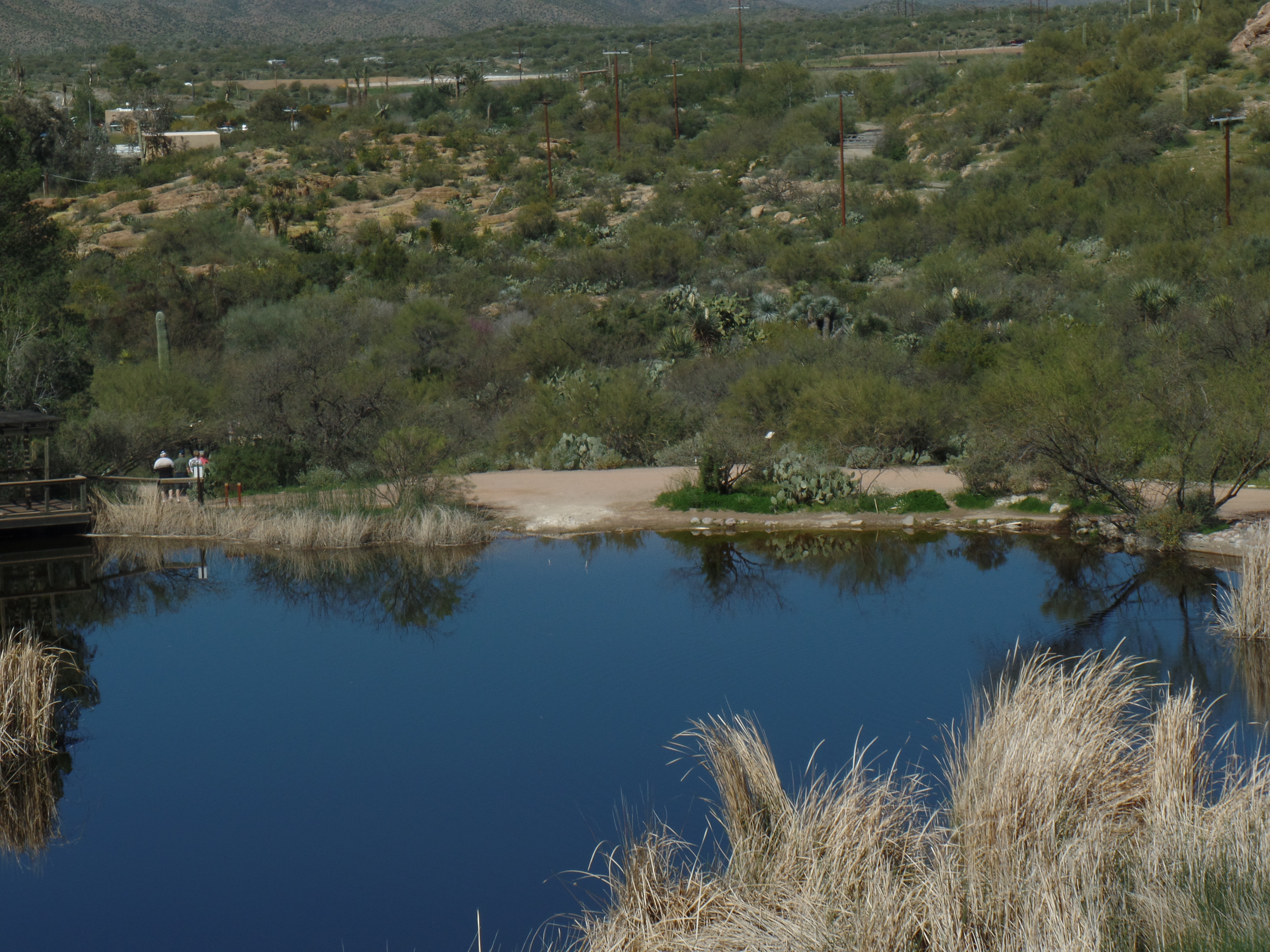 SAMSUNG CAMERA PICTURES