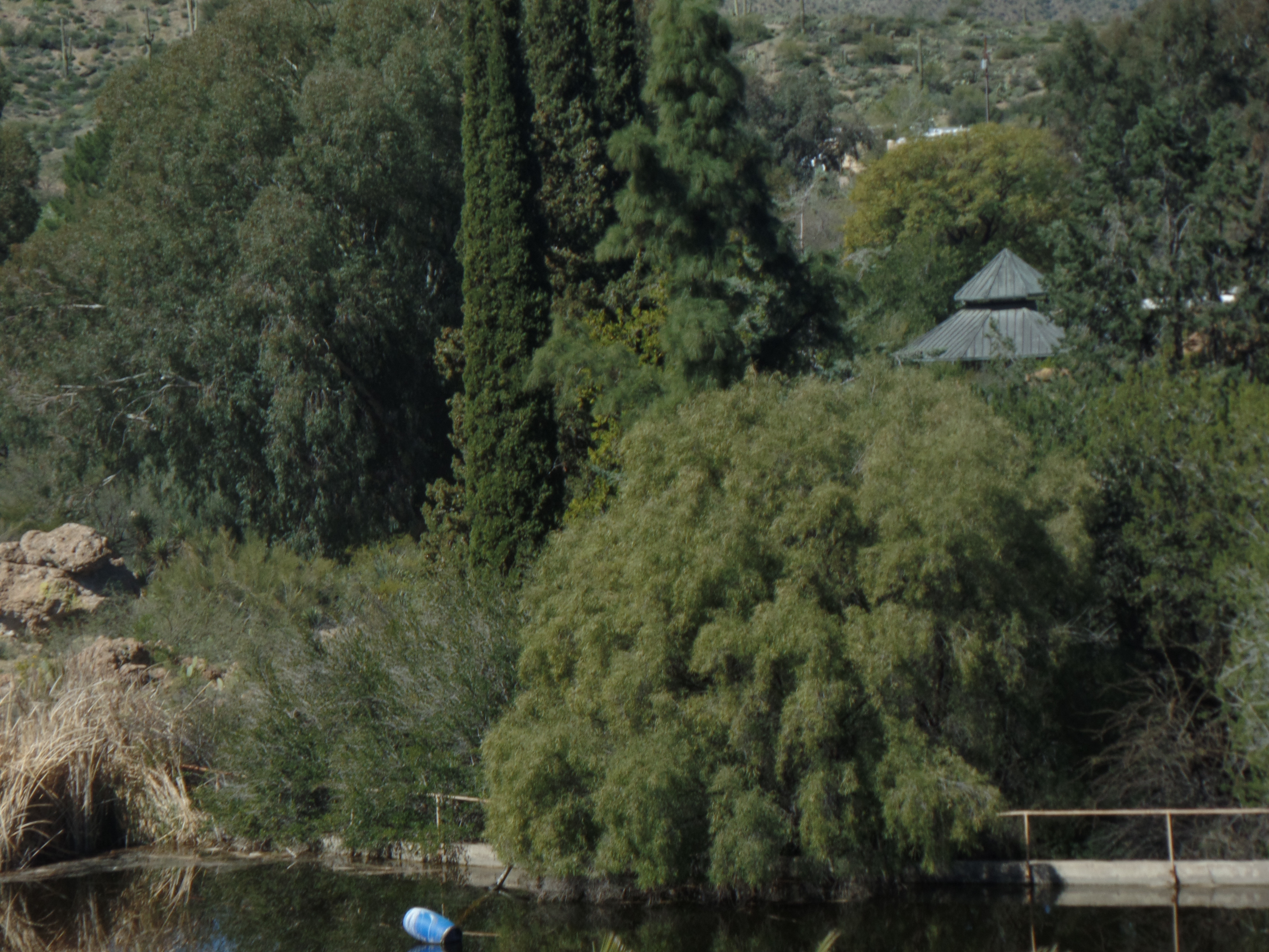 SAMSUNG CAMERA PICTURES