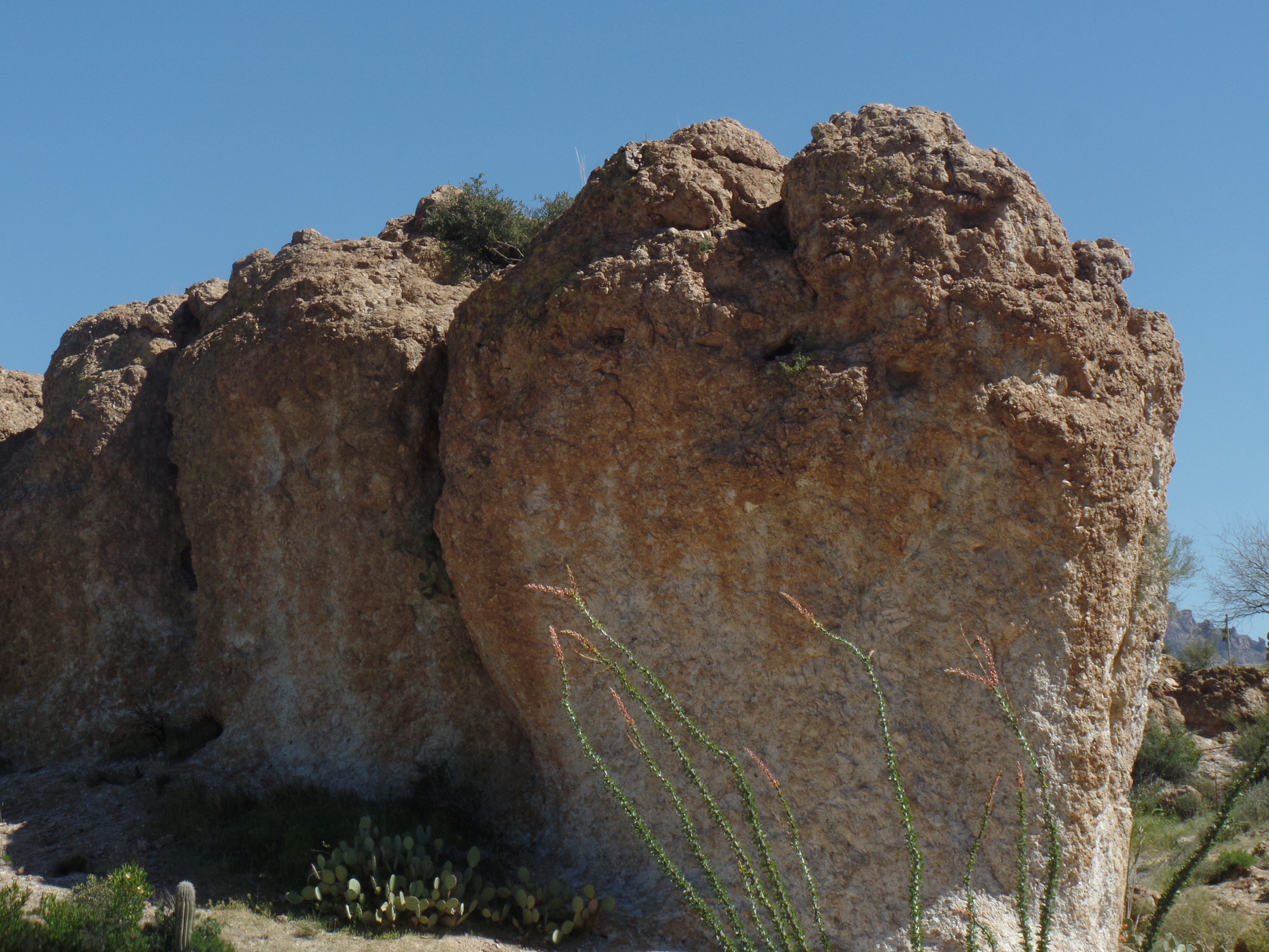 SAMSUNG CAMERA PICTURES