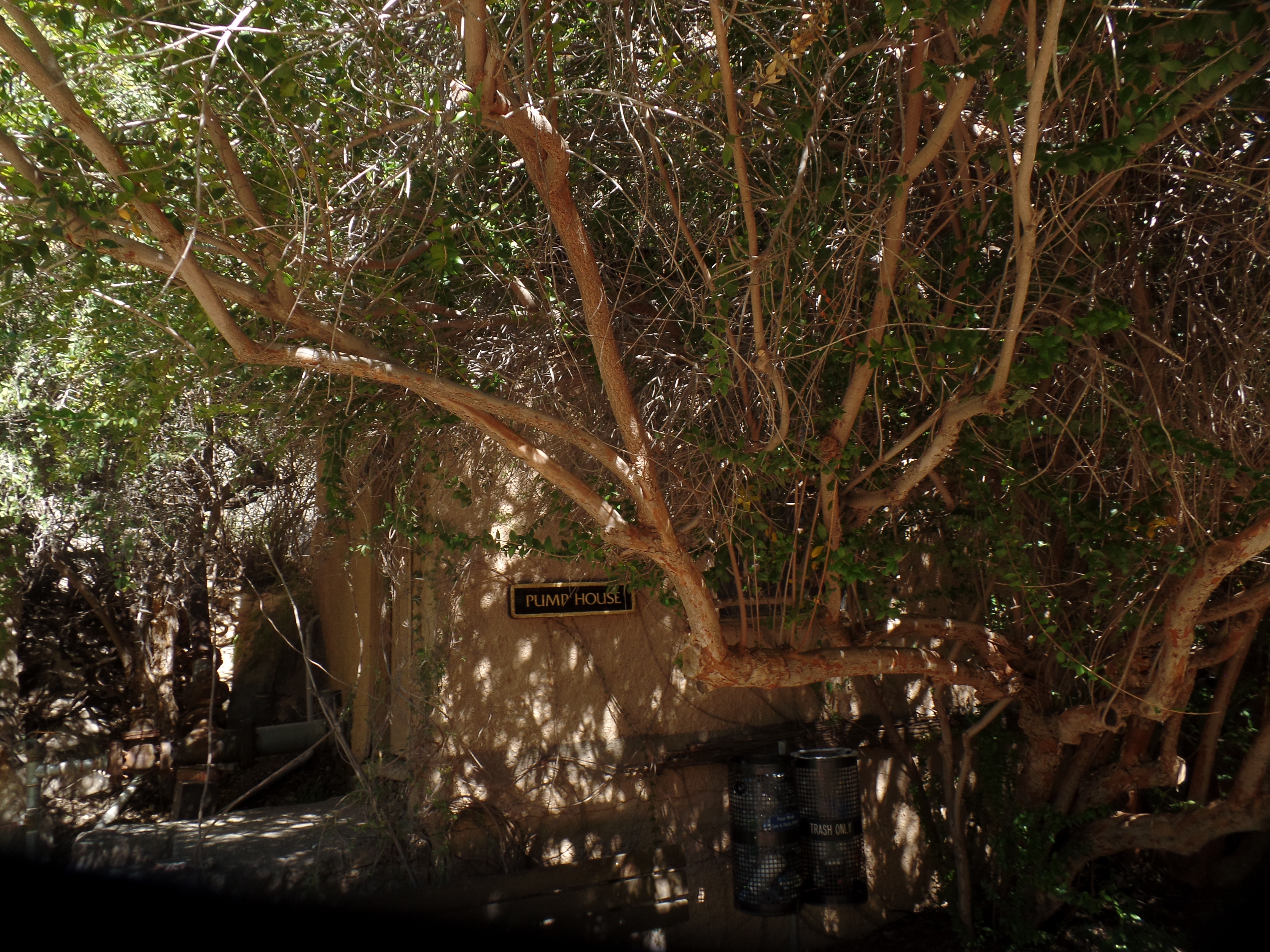 SAMSUNG CAMERA PICTURES