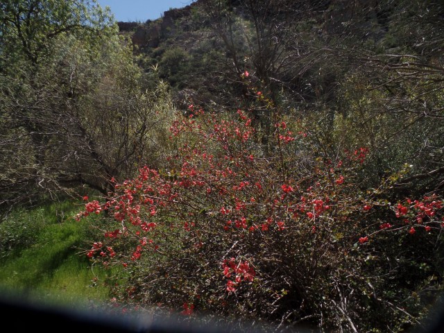 SAMSUNG CAMERA PICTURES