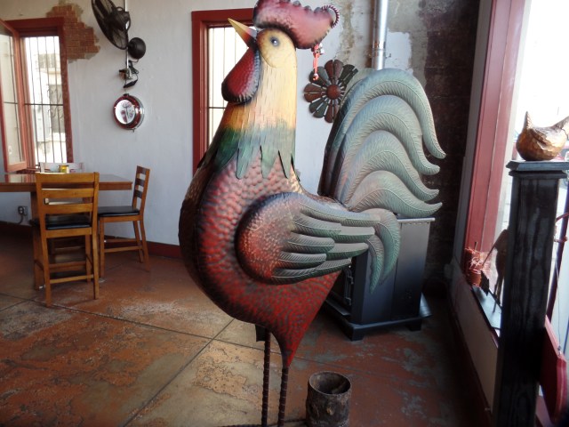 SAMSUNG CAMERA PICTURES