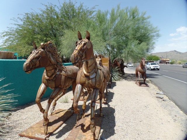 SAMSUNG CAMERA PICTURES