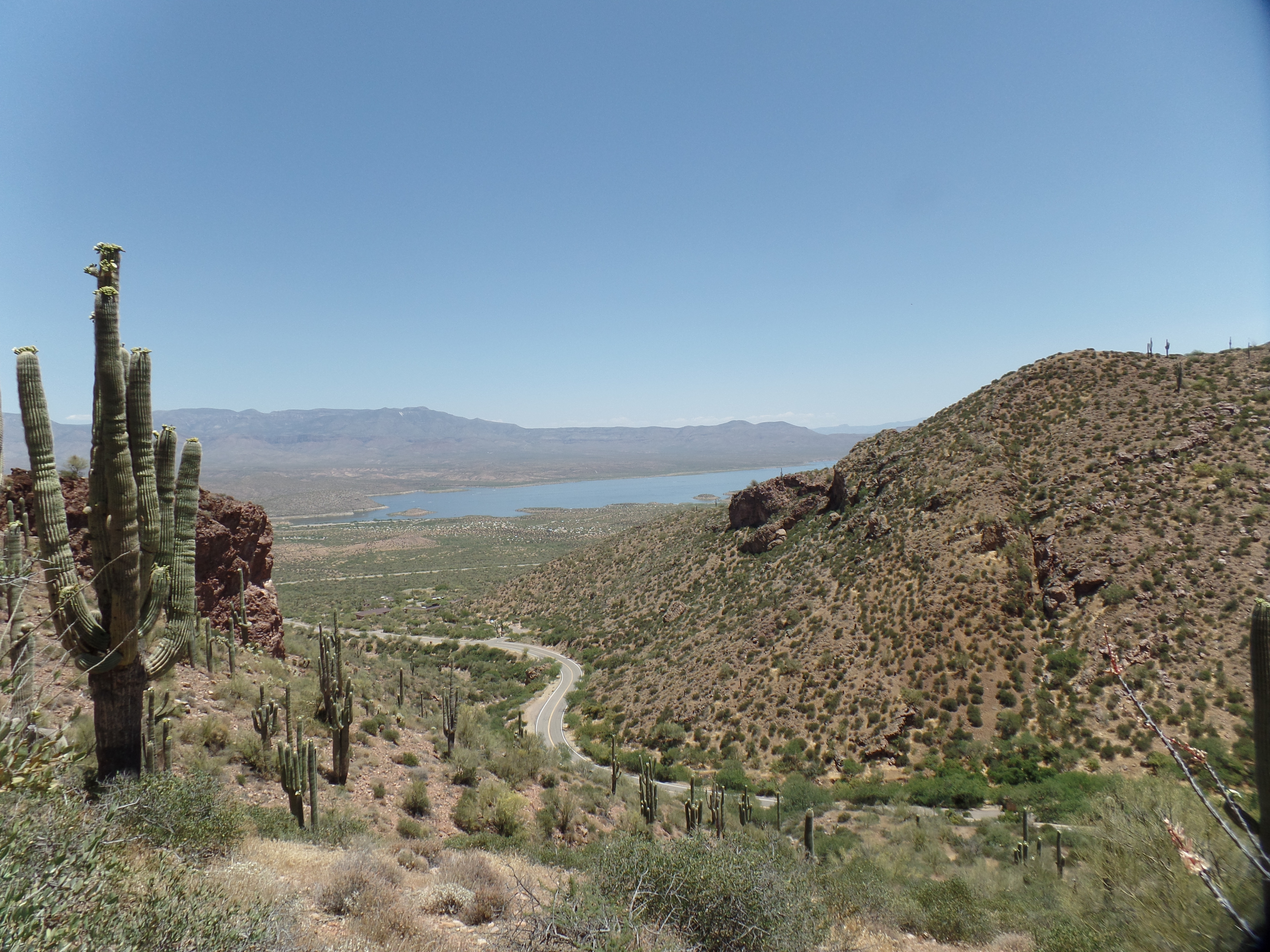 SAMSUNG CAMERA PICTURES