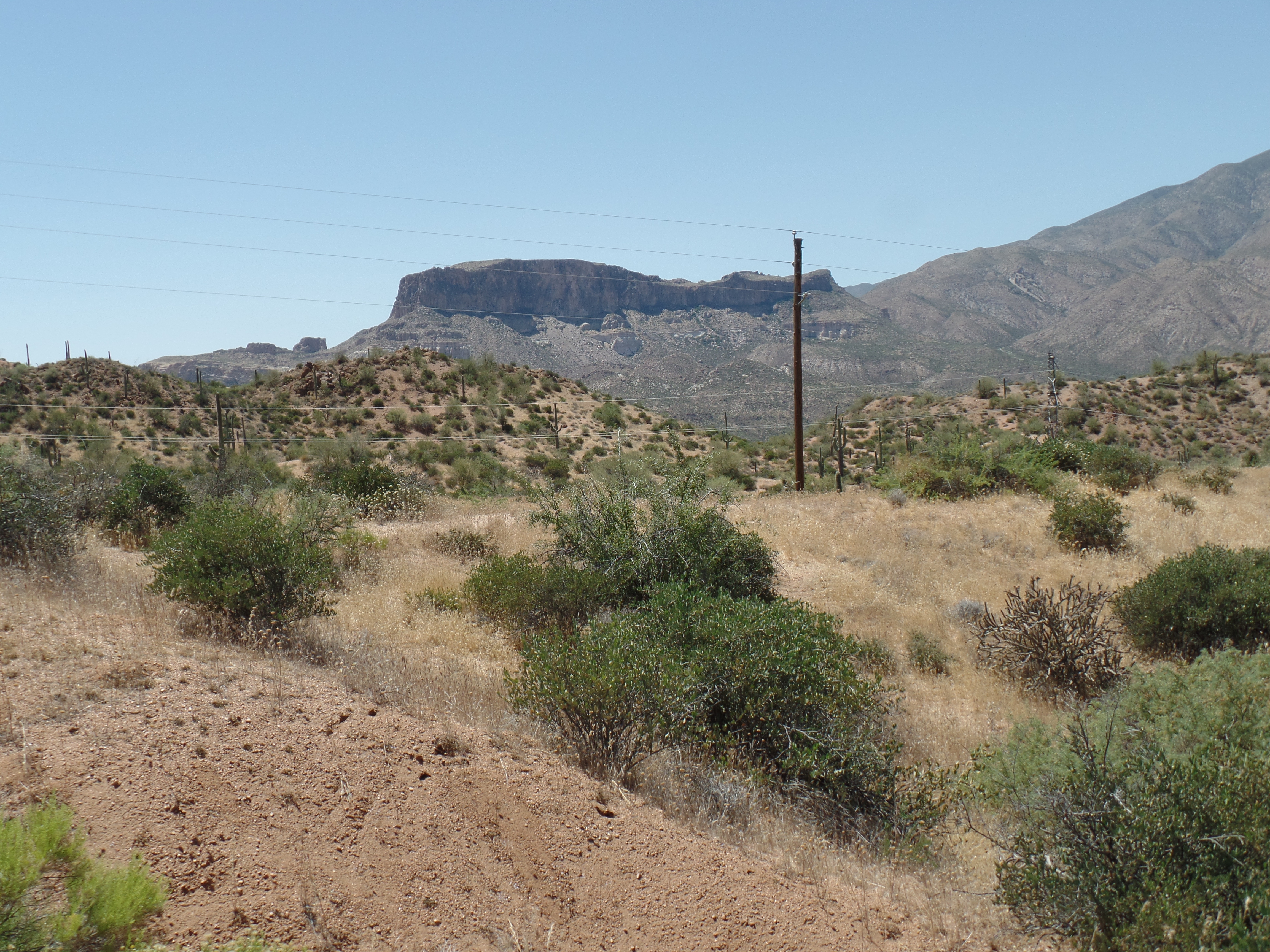 SAMSUNG CAMERA PICTURES