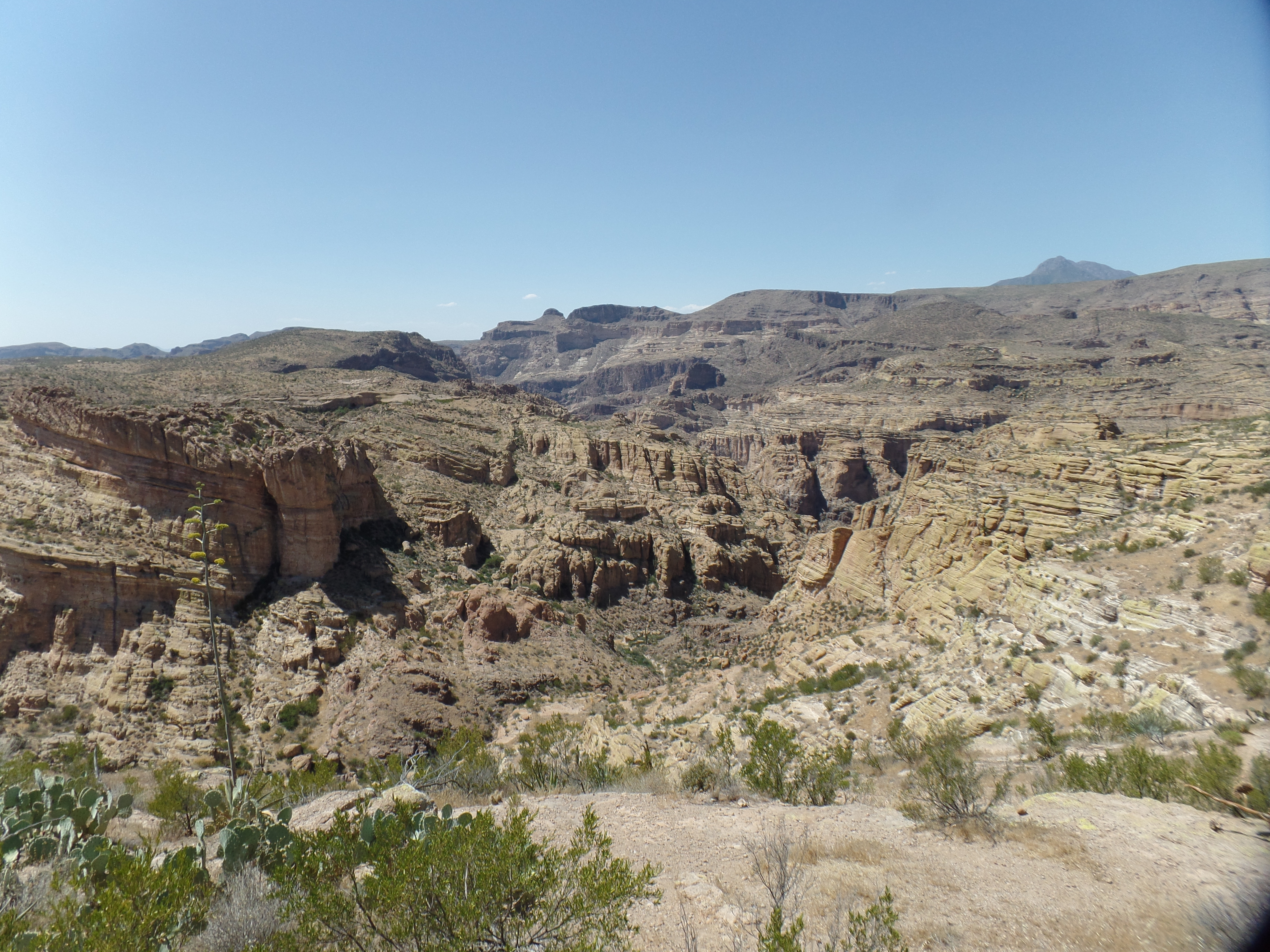 SAMSUNG CAMERA PICTURES