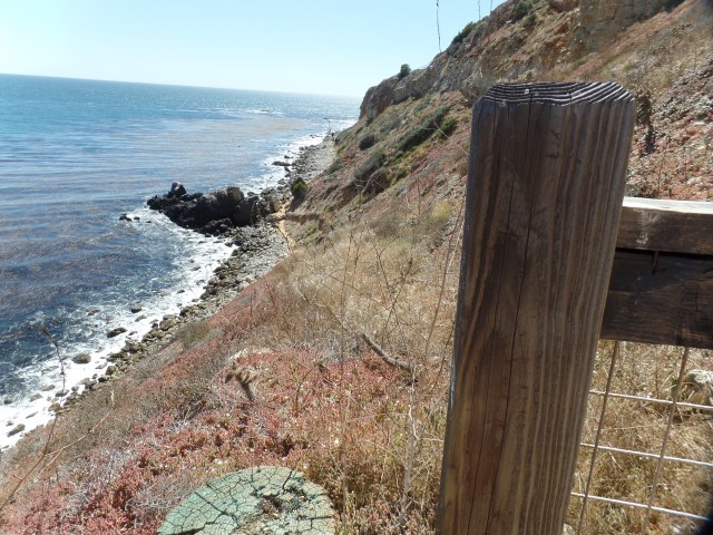 SAMSUNG CAMERA PICTURES