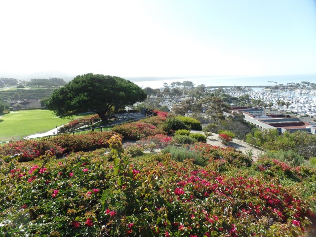 SAMSUNG CAMERA PICTURES