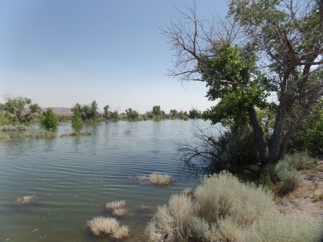 SAMSUNG CAMERA PICTURES