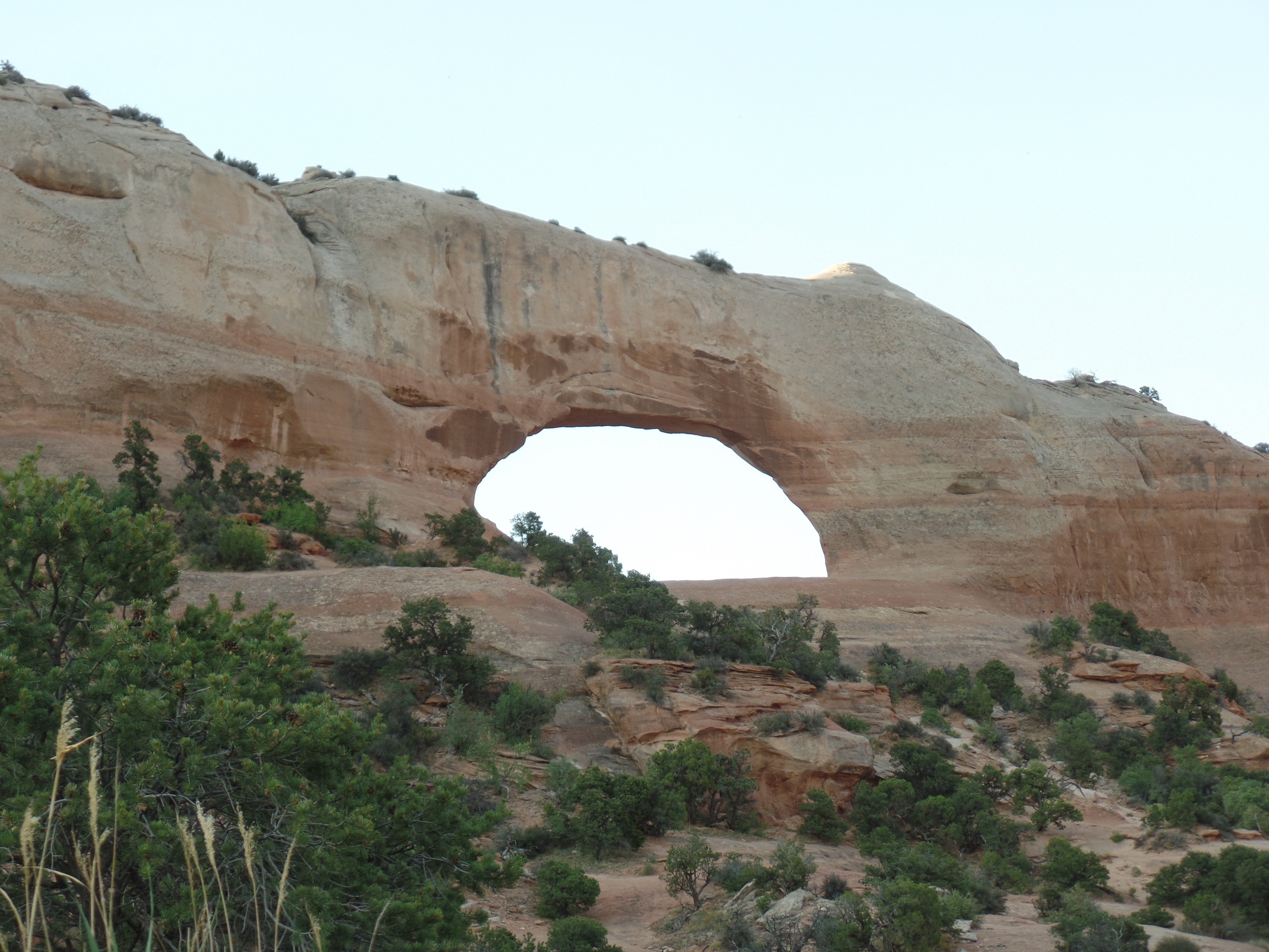 SAMSUNG CAMERA PICTURES