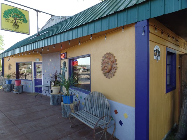 SAMSUNG CAMERA PICTURES