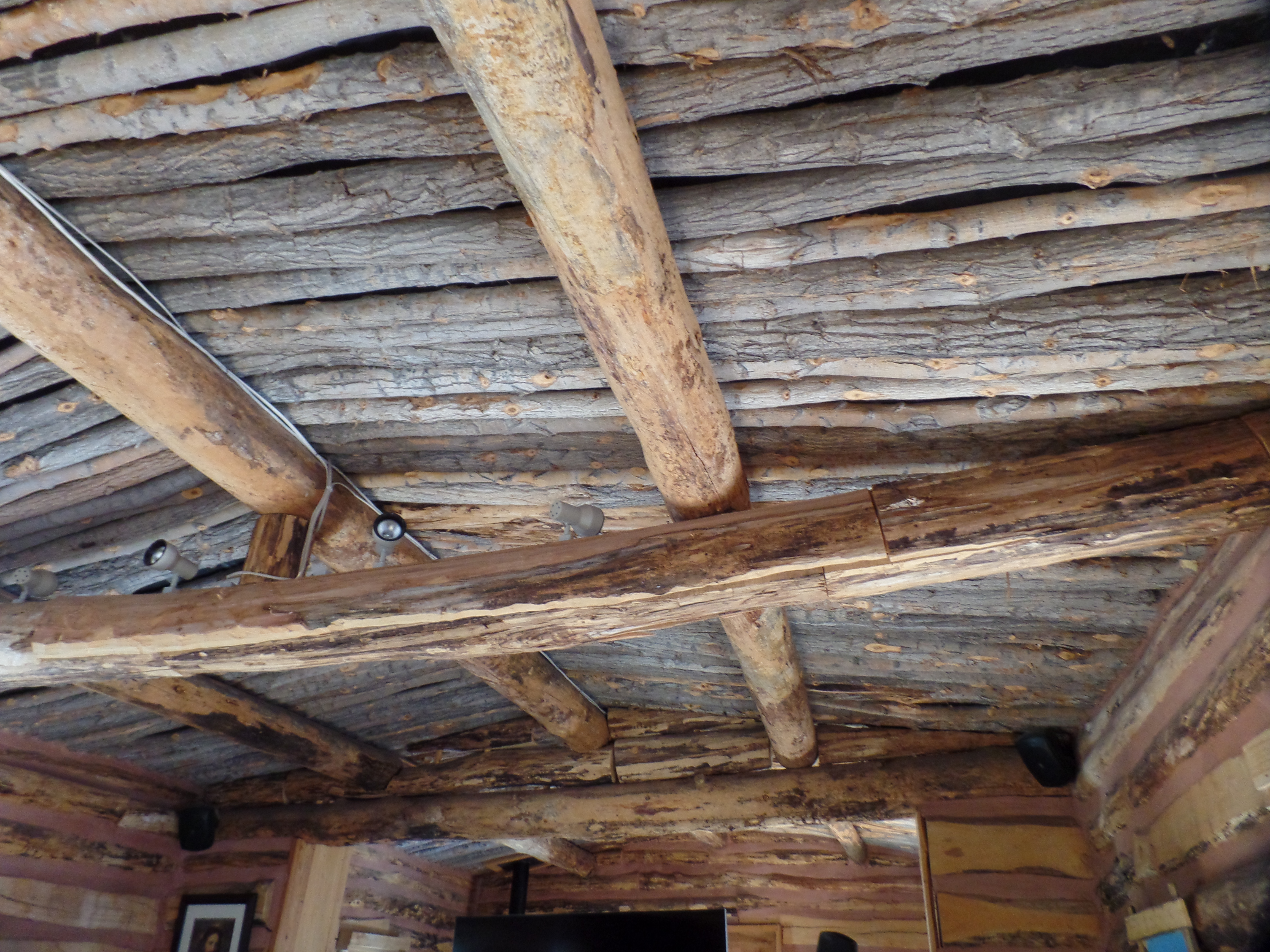 SAMSUNG CAMERA PICTURES