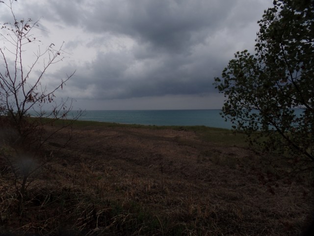 SAMSUNG CAMERA PICTURES