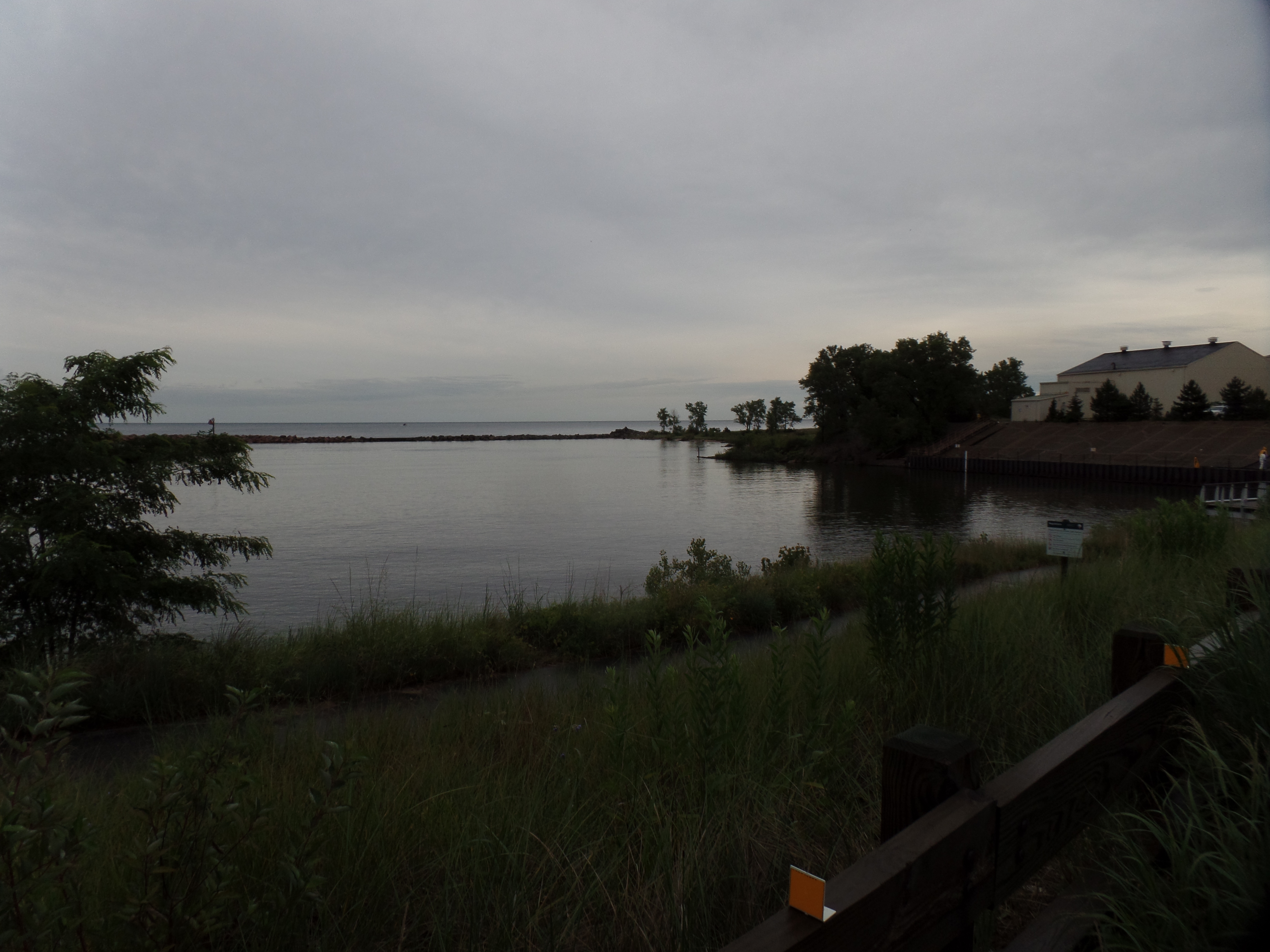 SAMSUNG CAMERA PICTURES