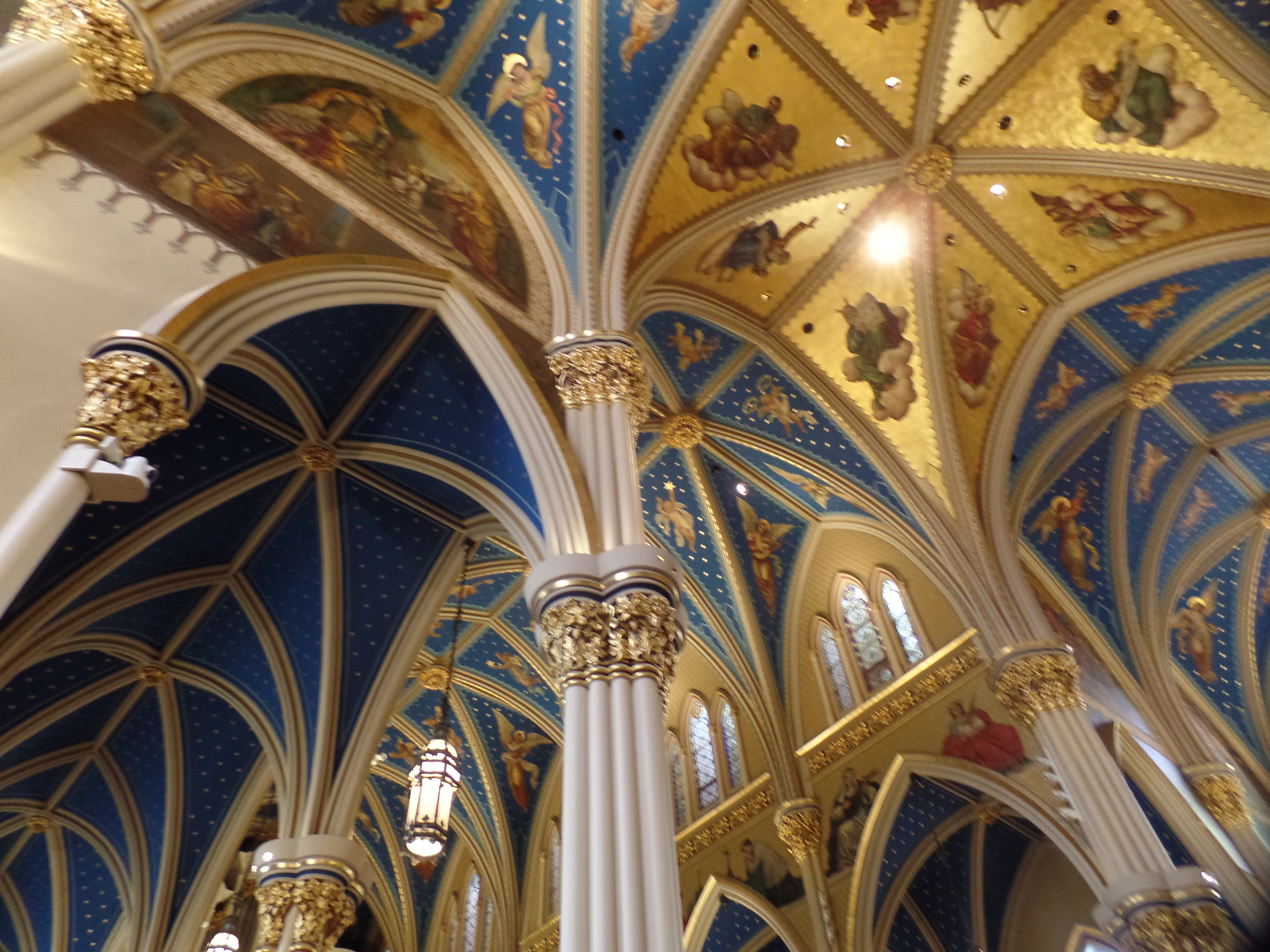 SAMSUNG CAMERA PICTURES