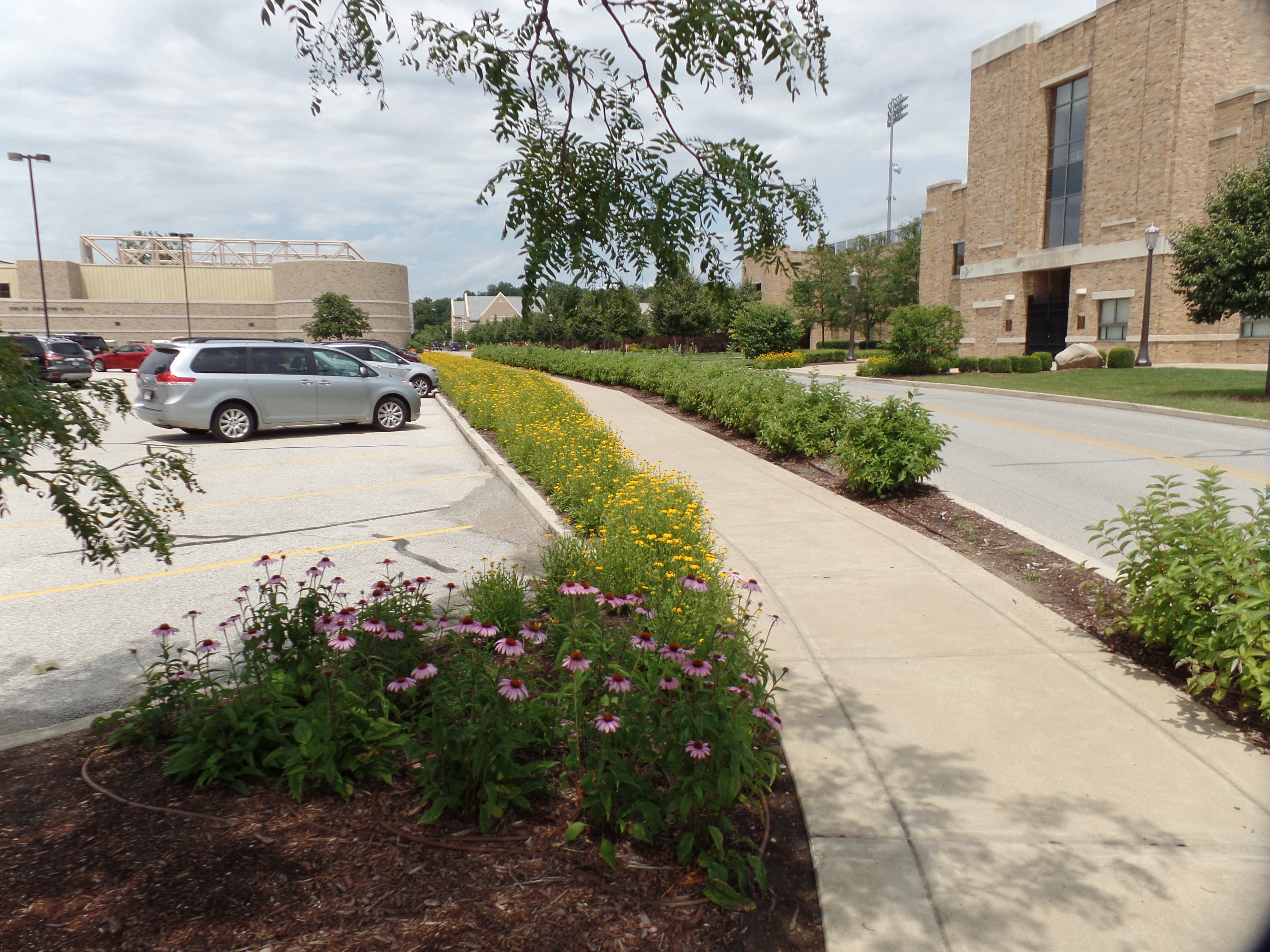 SAMSUNG CAMERA PICTURES