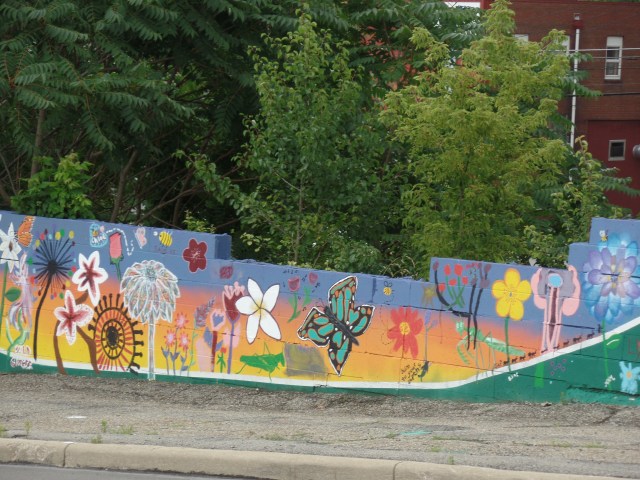 SAMSUNG CAMERA PICTURES