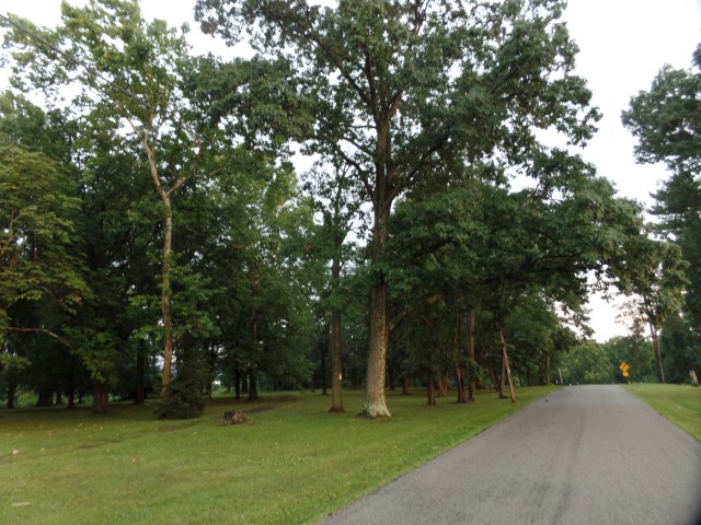 SAMSUNG CAMERA PICTURES