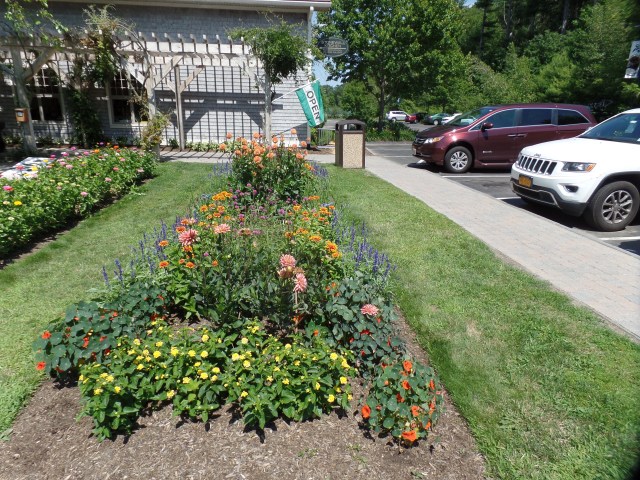 SAMSUNG CAMERA PICTURES