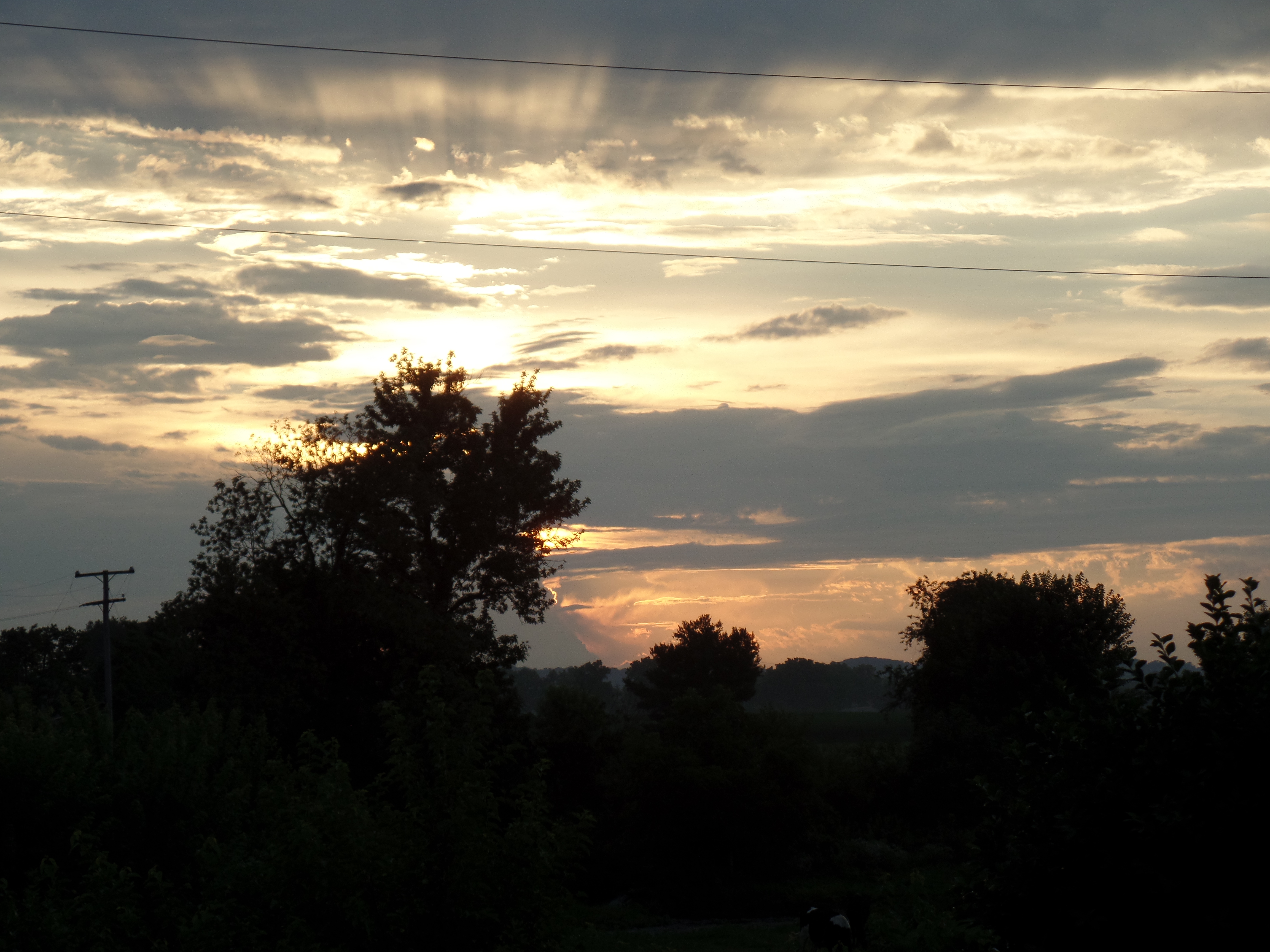 SAMSUNG CAMERA PICTURES