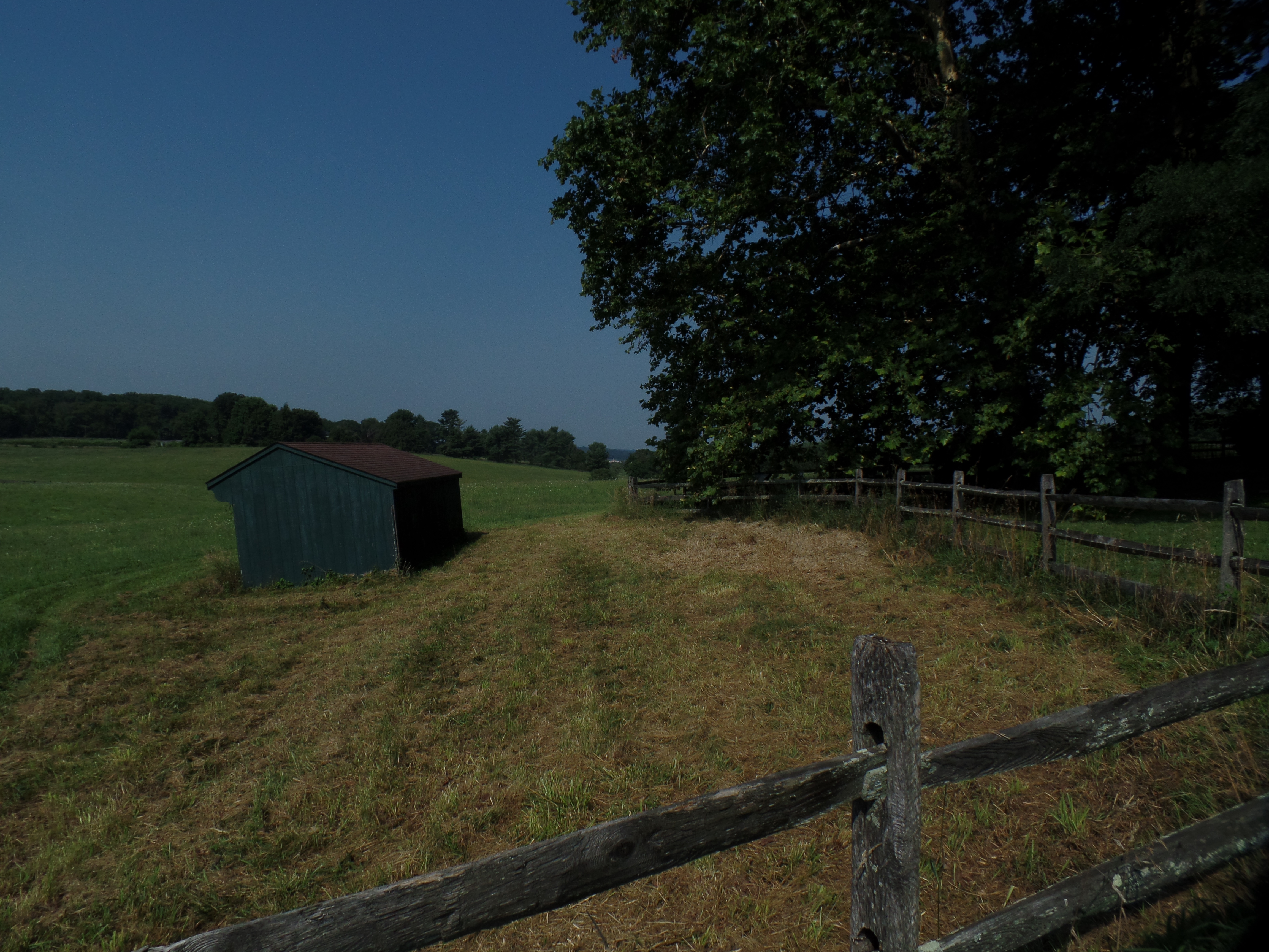 SAMSUNG CAMERA PICTURES