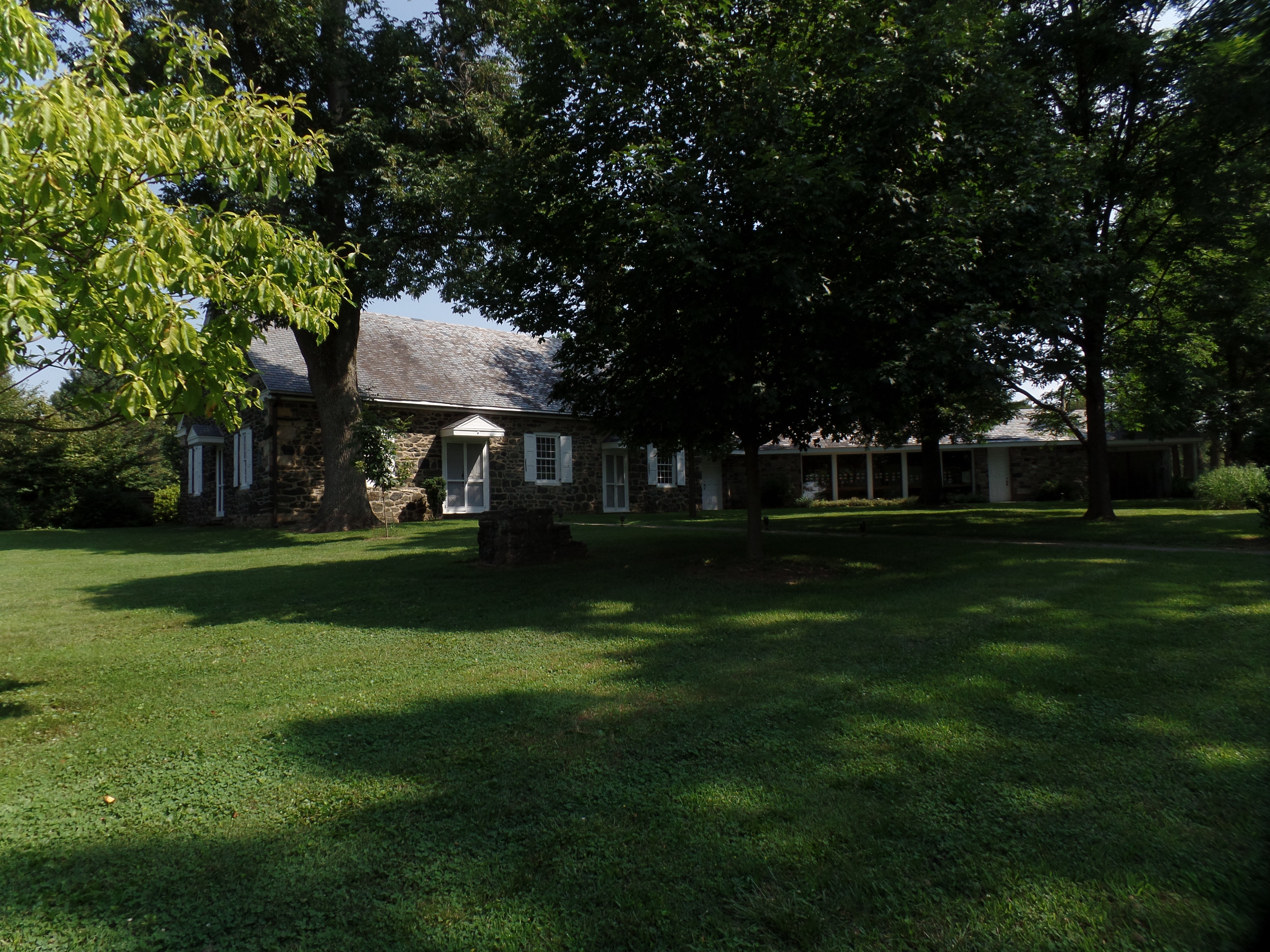 SAMSUNG CAMERA PICTURES