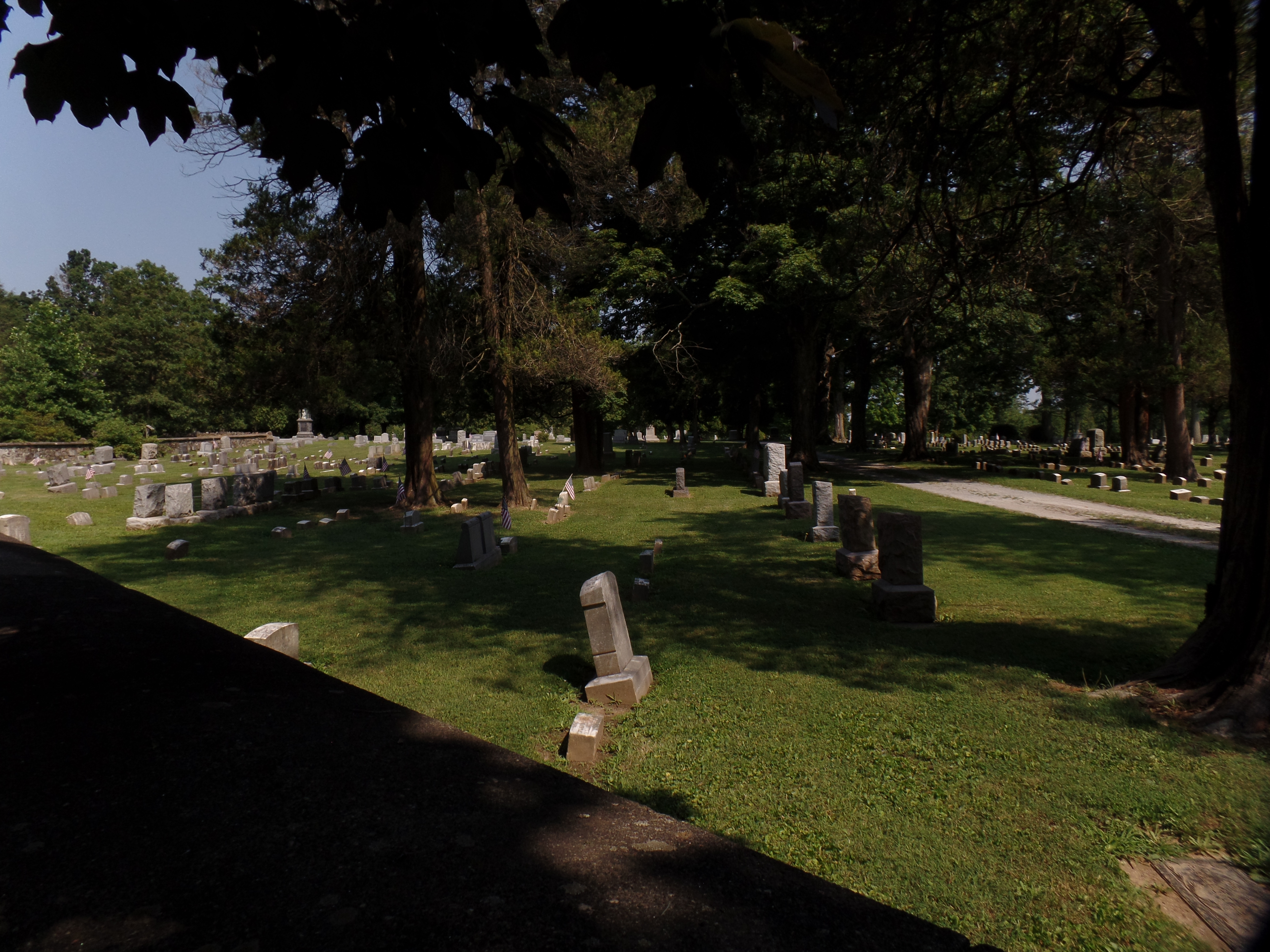 SAMSUNG CAMERA PICTURES