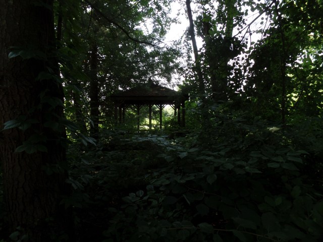 SAMSUNG CAMERA PICTURES