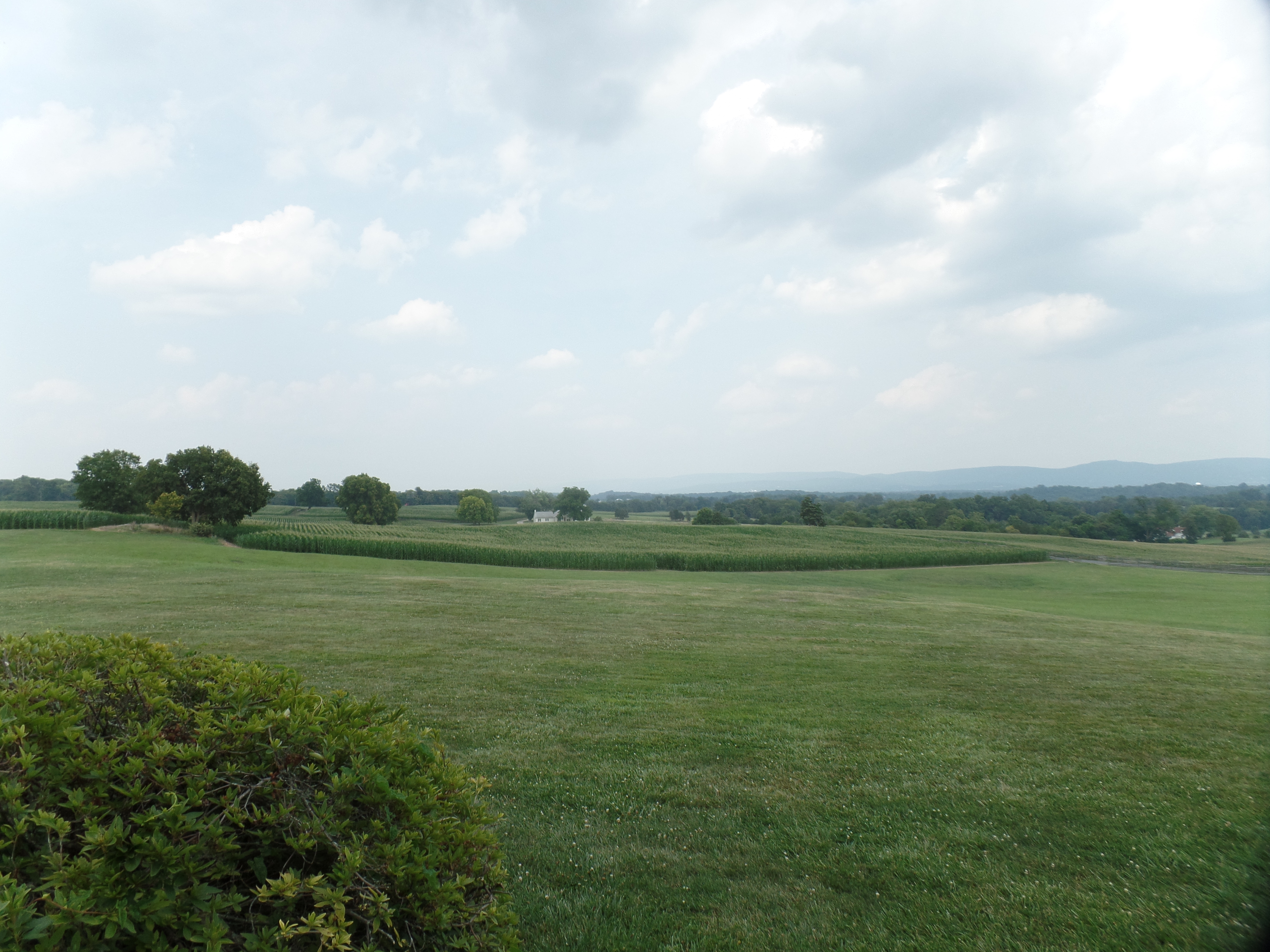 SAMSUNG CAMERA PICTURES