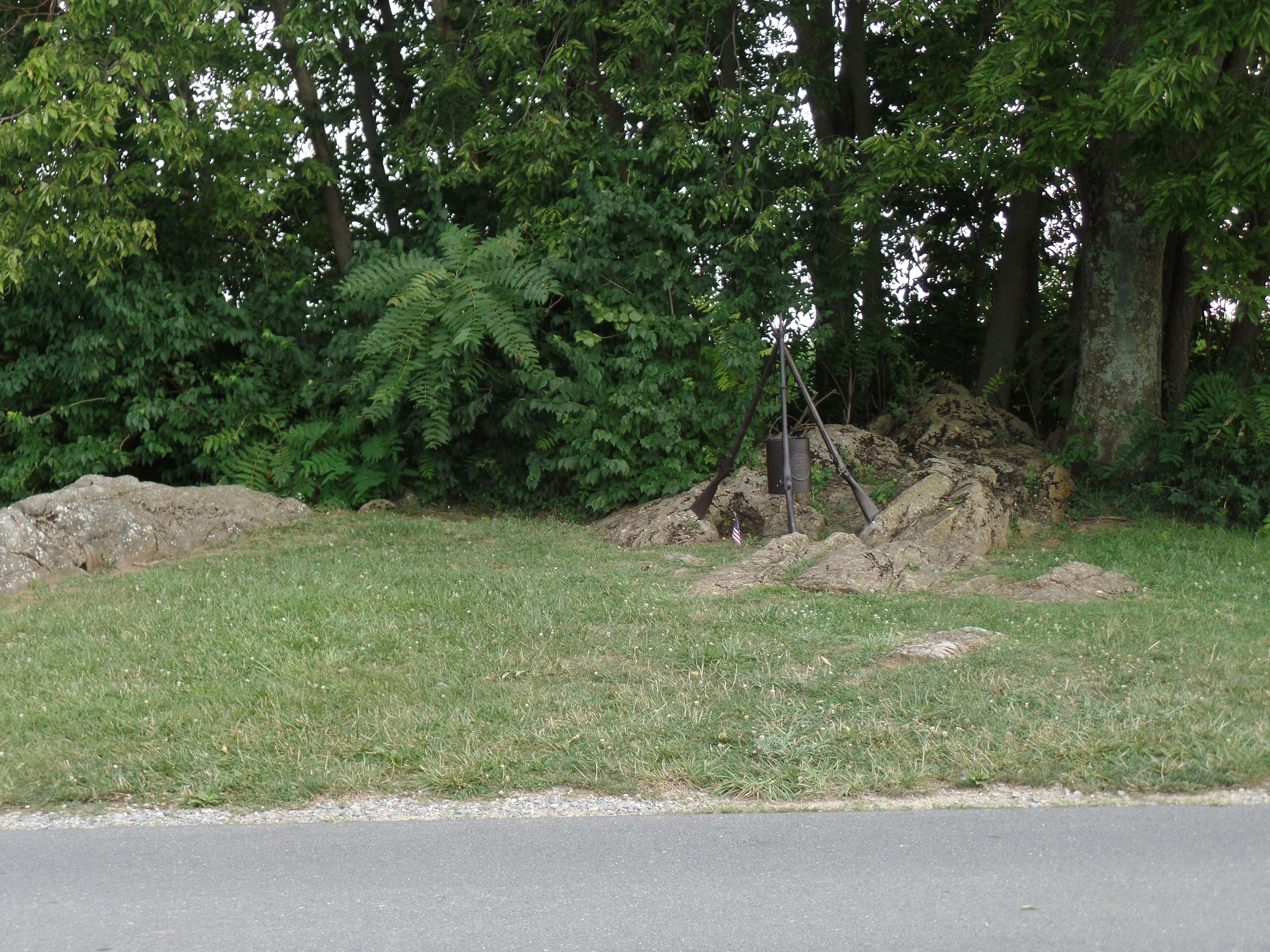 SAMSUNG CAMERA PICTURES