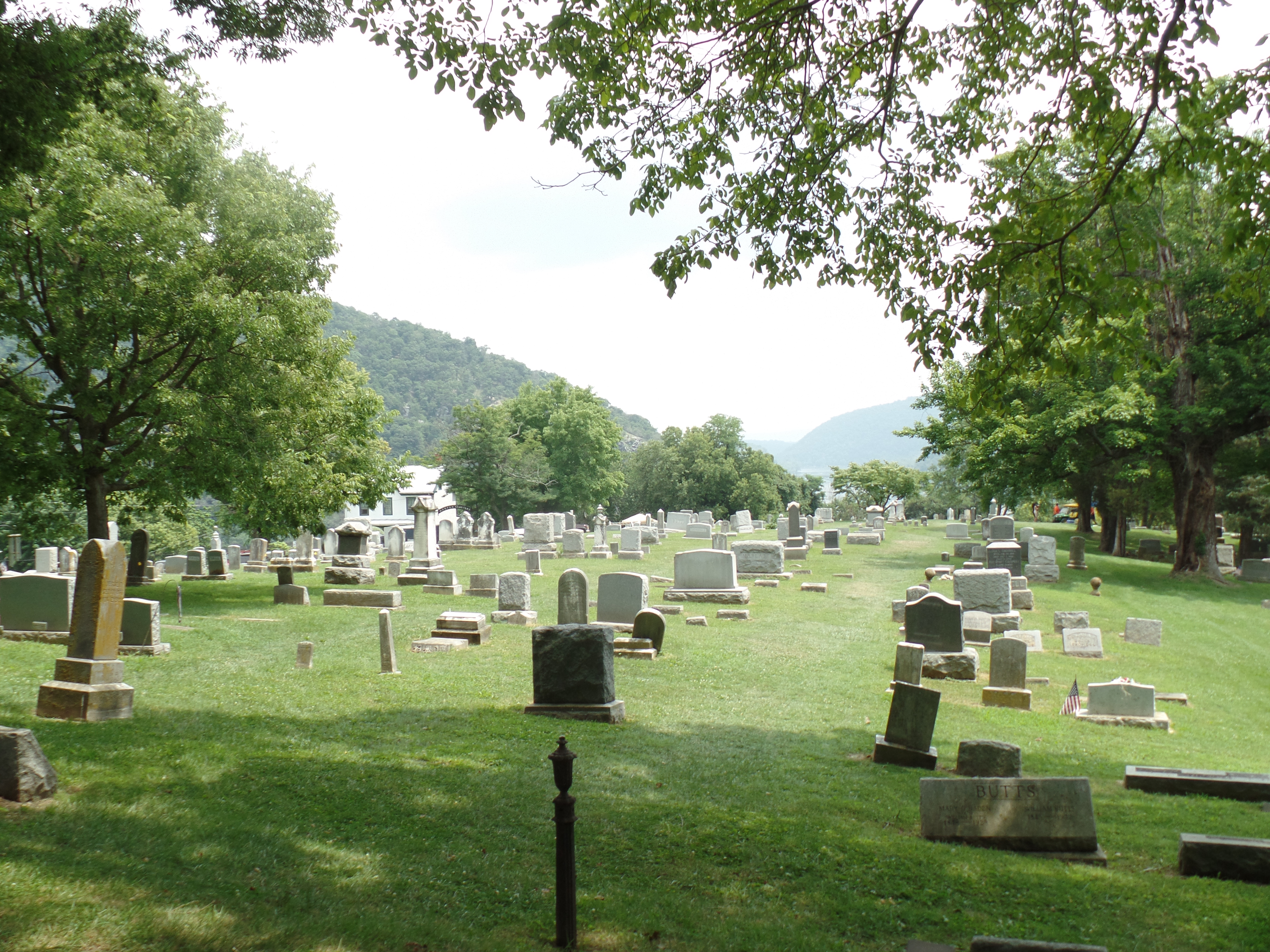 SAMSUNG CAMERA PICTURES