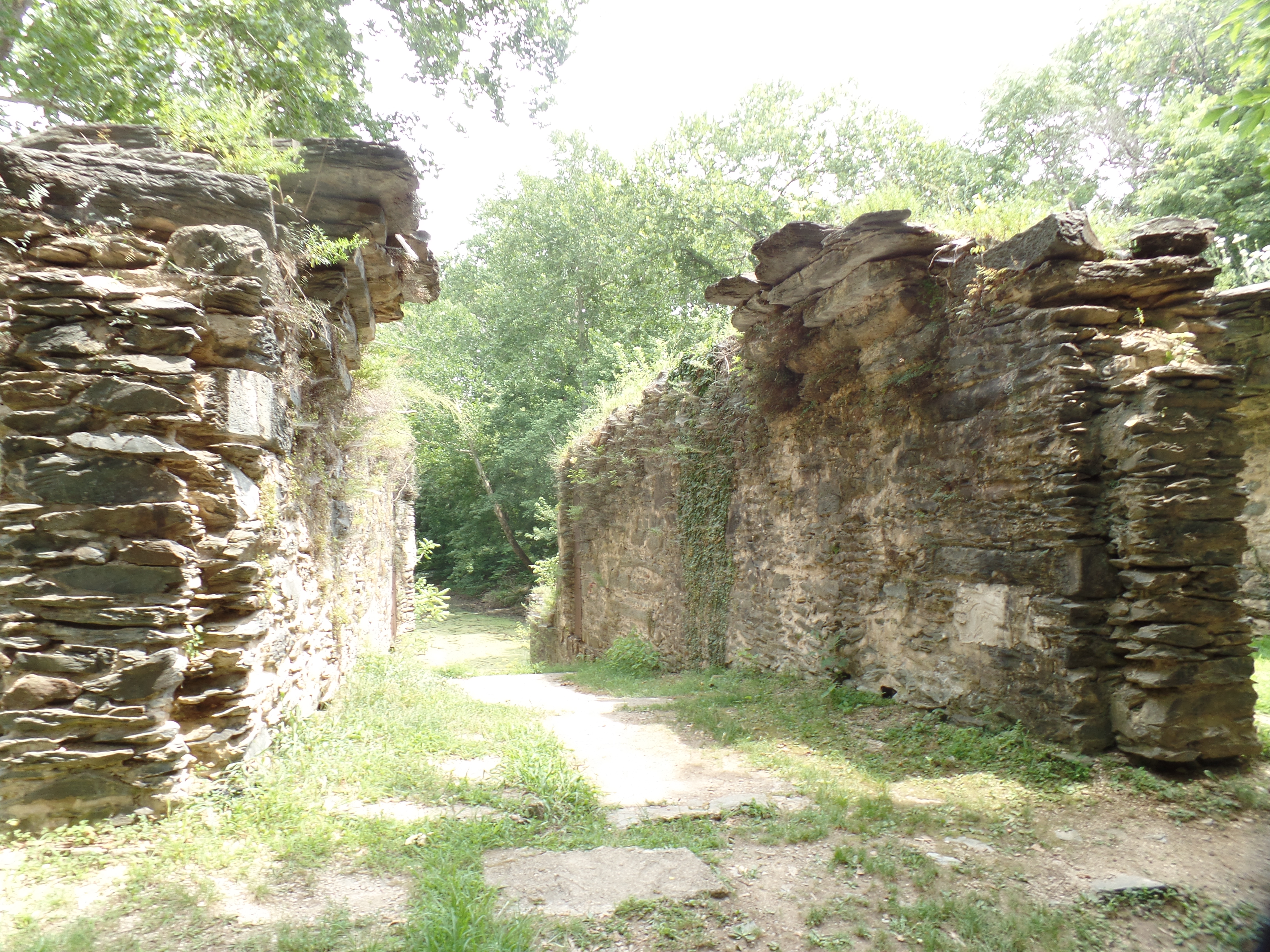 SAMSUNG CAMERA PICTURES