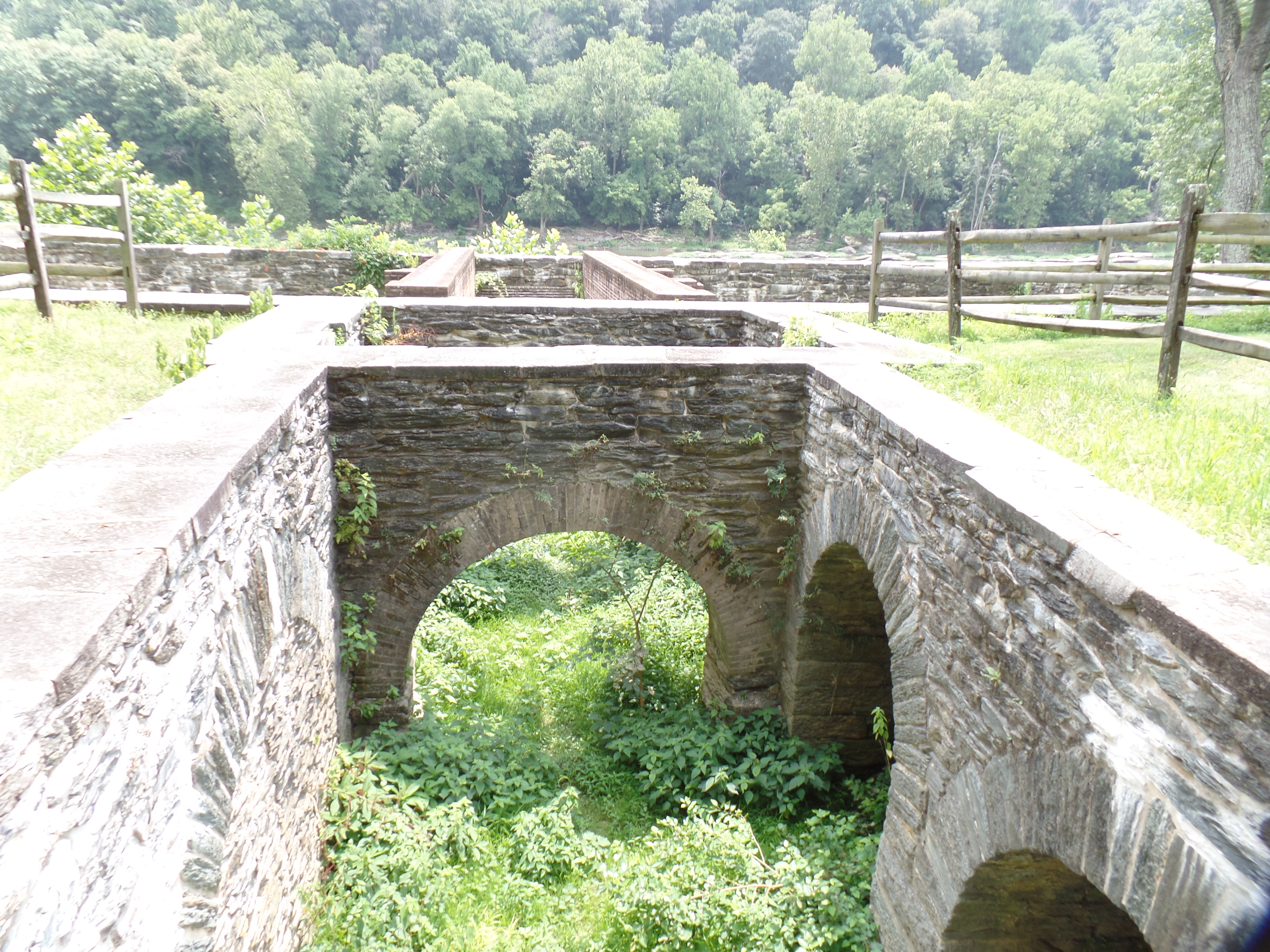 SAMSUNG CAMERA PICTURES