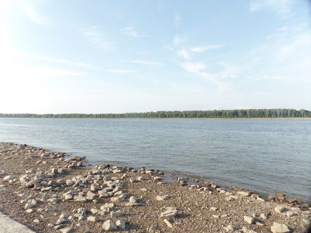 SAMSUNG CAMERA PICTURES